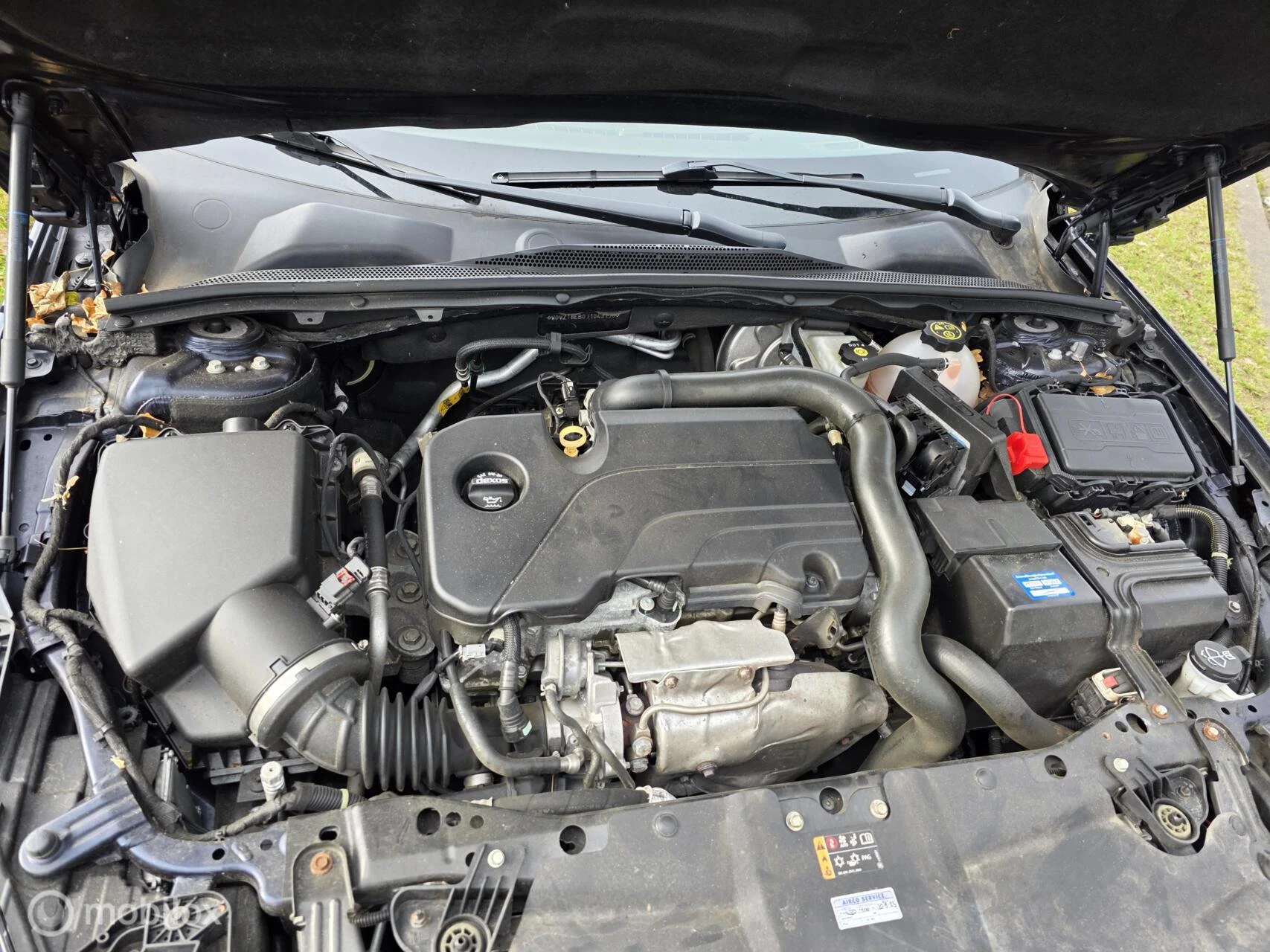 Hoofdafbeelding Opel Insignia