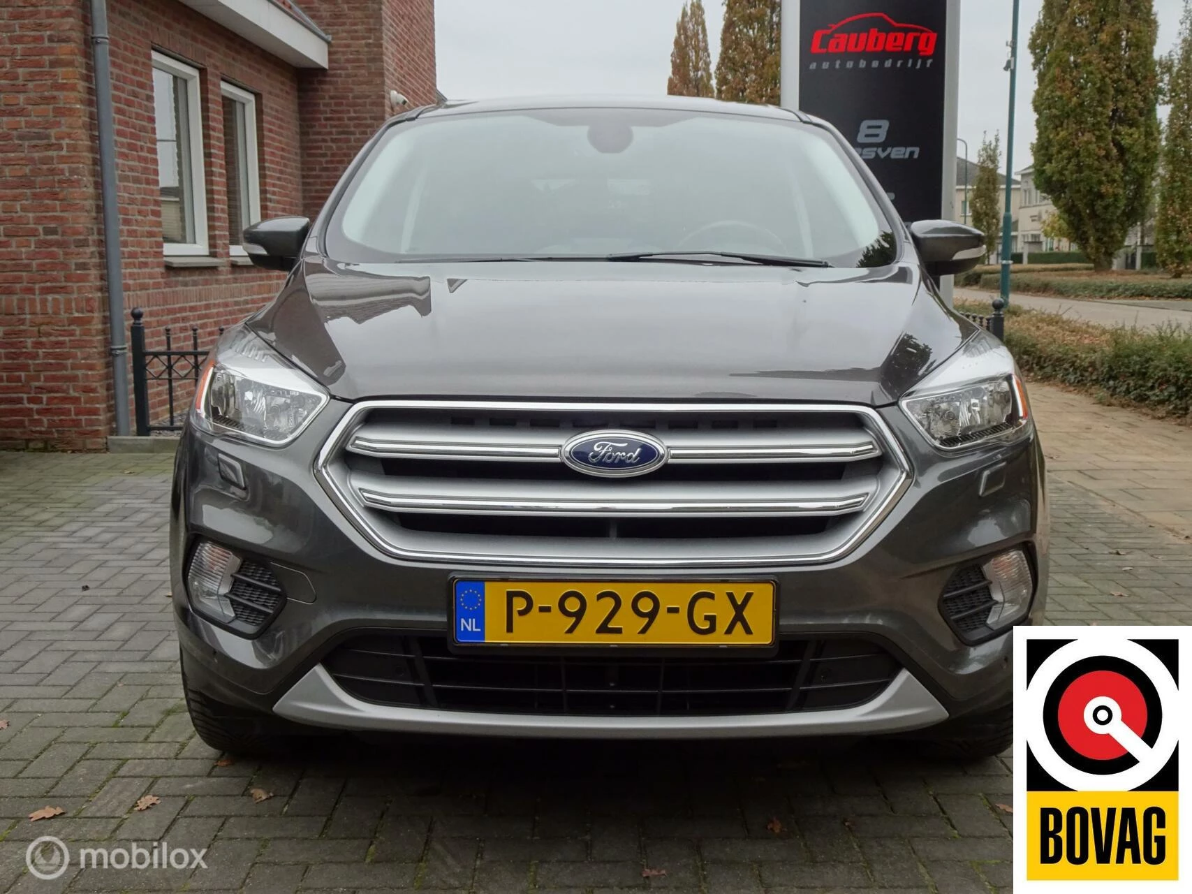 Hoofdafbeelding Ford Kuga