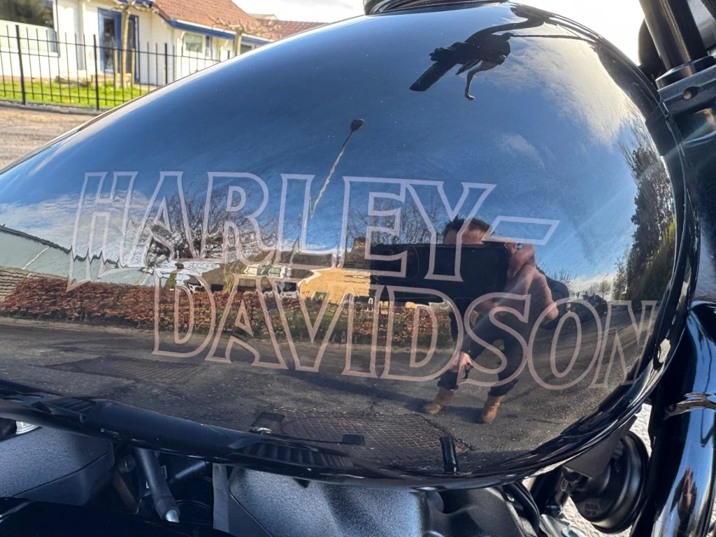 Hoofdafbeelding Harley-Davidson Low Rider