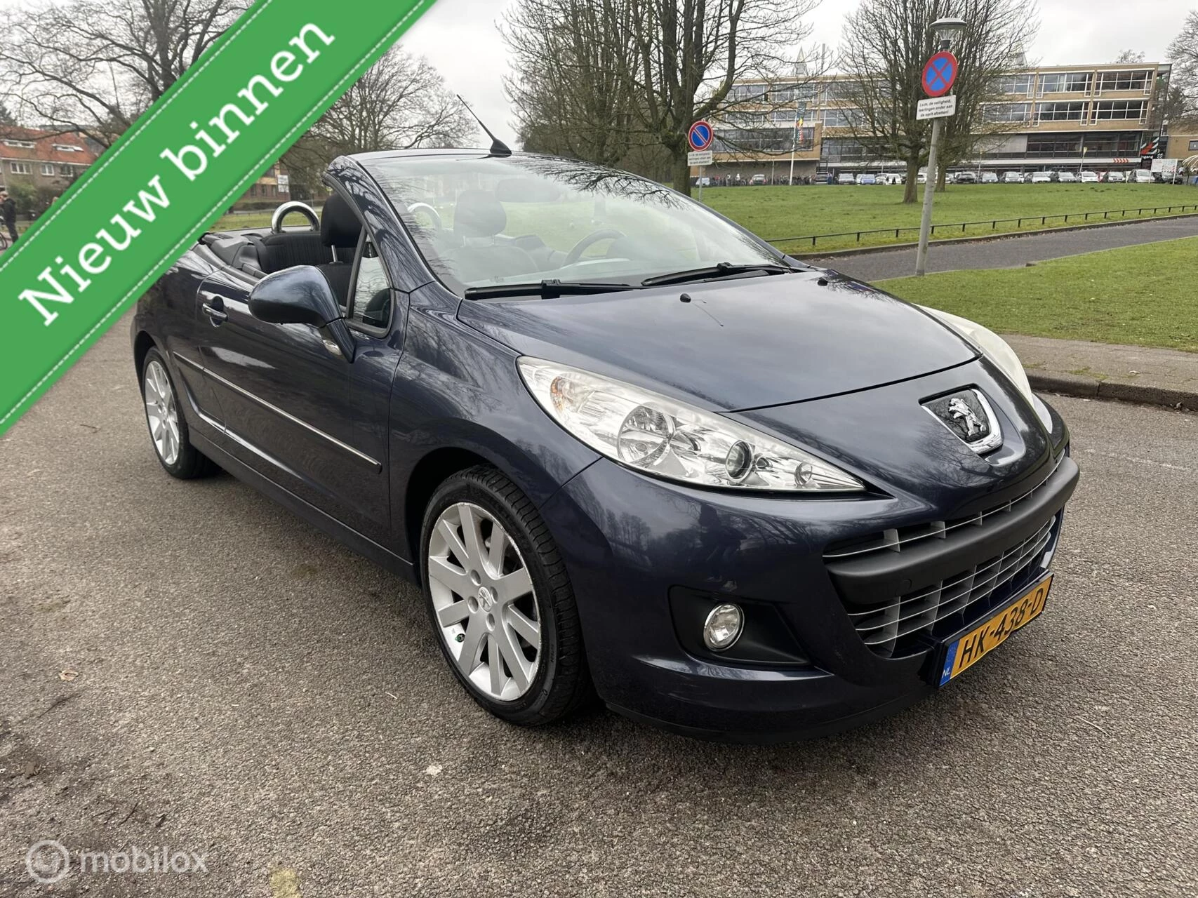 Hoofdafbeelding Peugeot 207