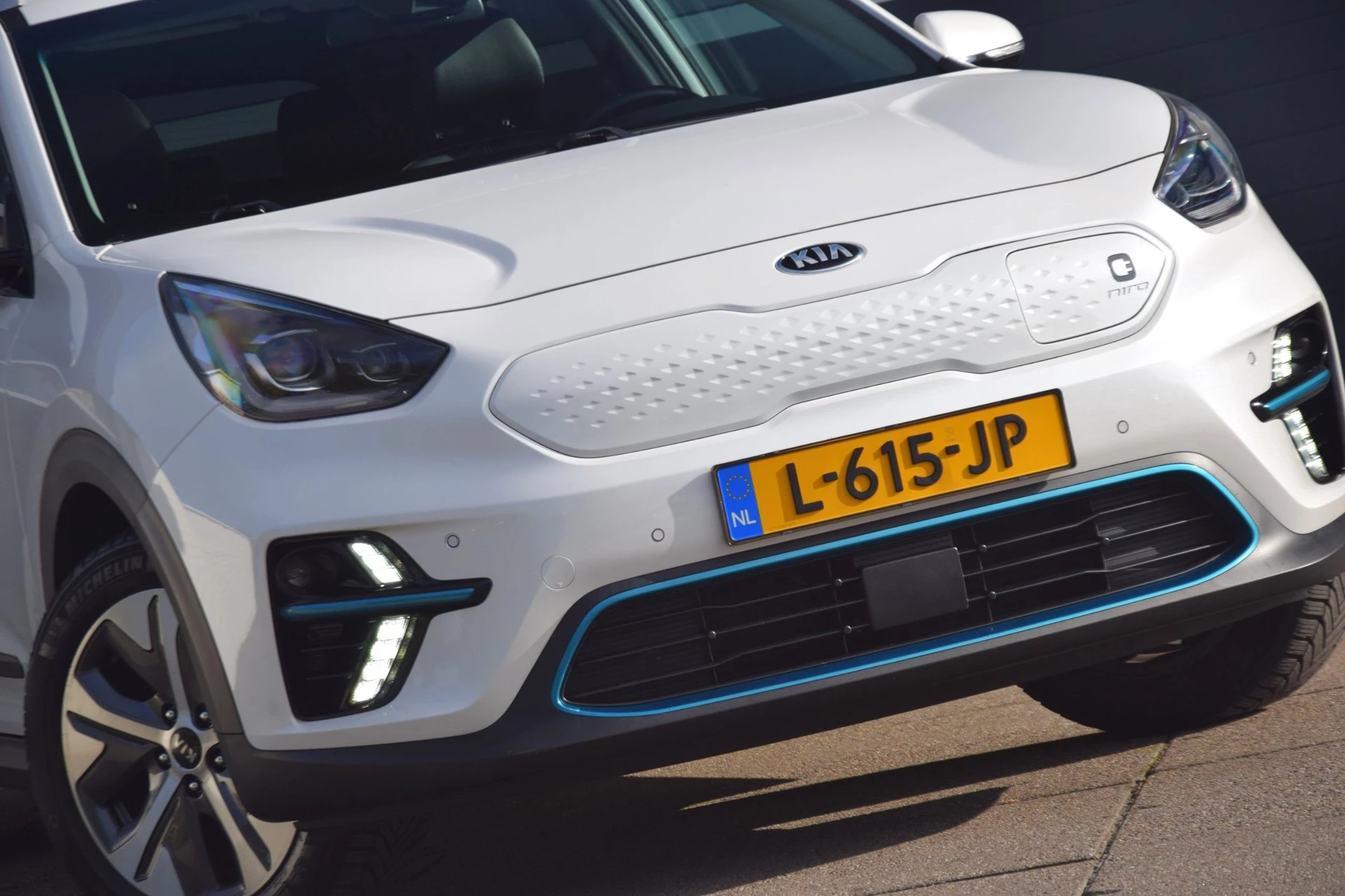 Hoofdafbeelding Kia e-Niro