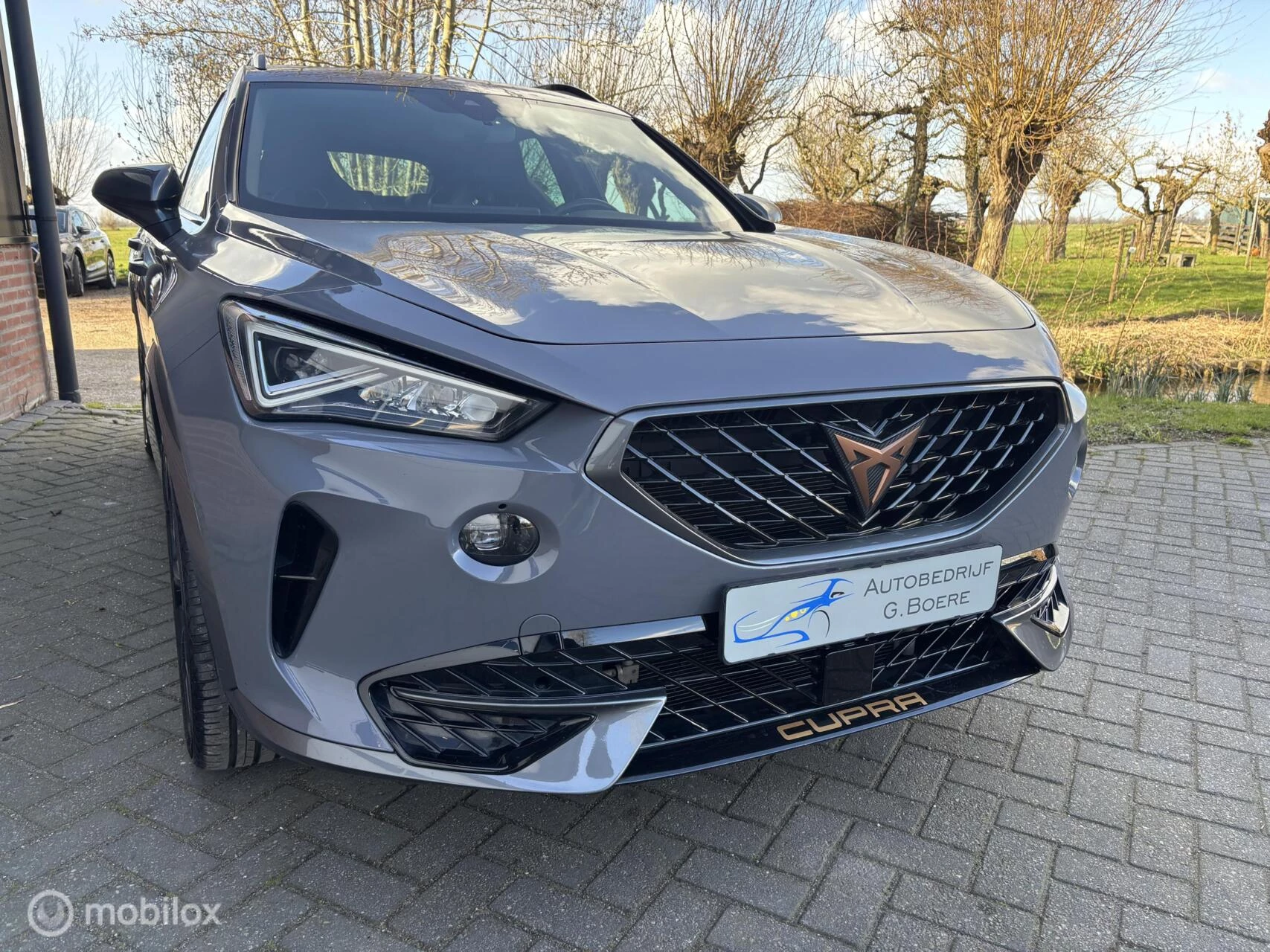 Hoofdafbeelding CUPRA Formentor