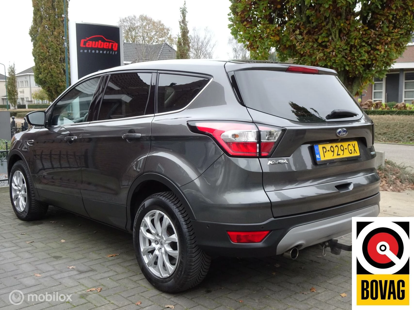 Hoofdafbeelding Ford Kuga