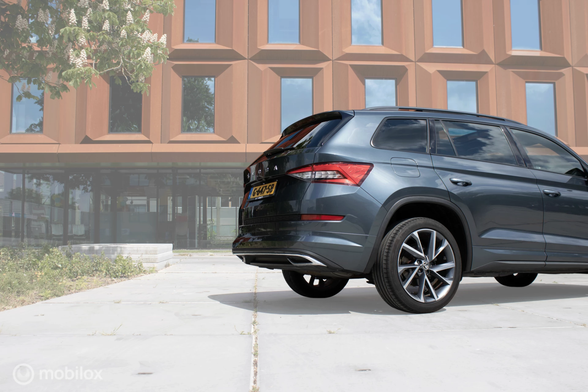 Hoofdafbeelding Škoda Kodiaq