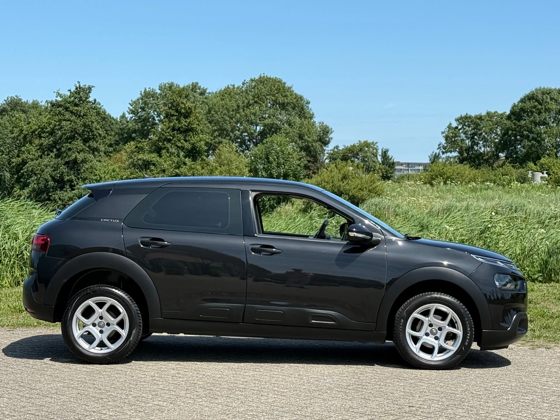 Hoofdafbeelding Citroën C4 Cactus