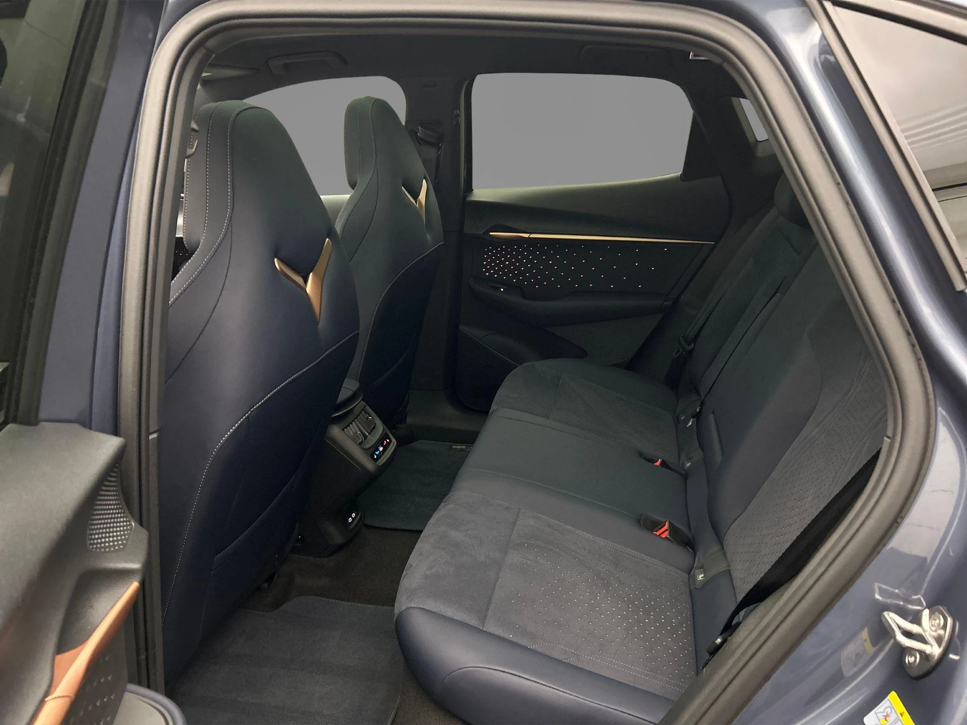 Hoofdafbeelding CUPRA Tavascan