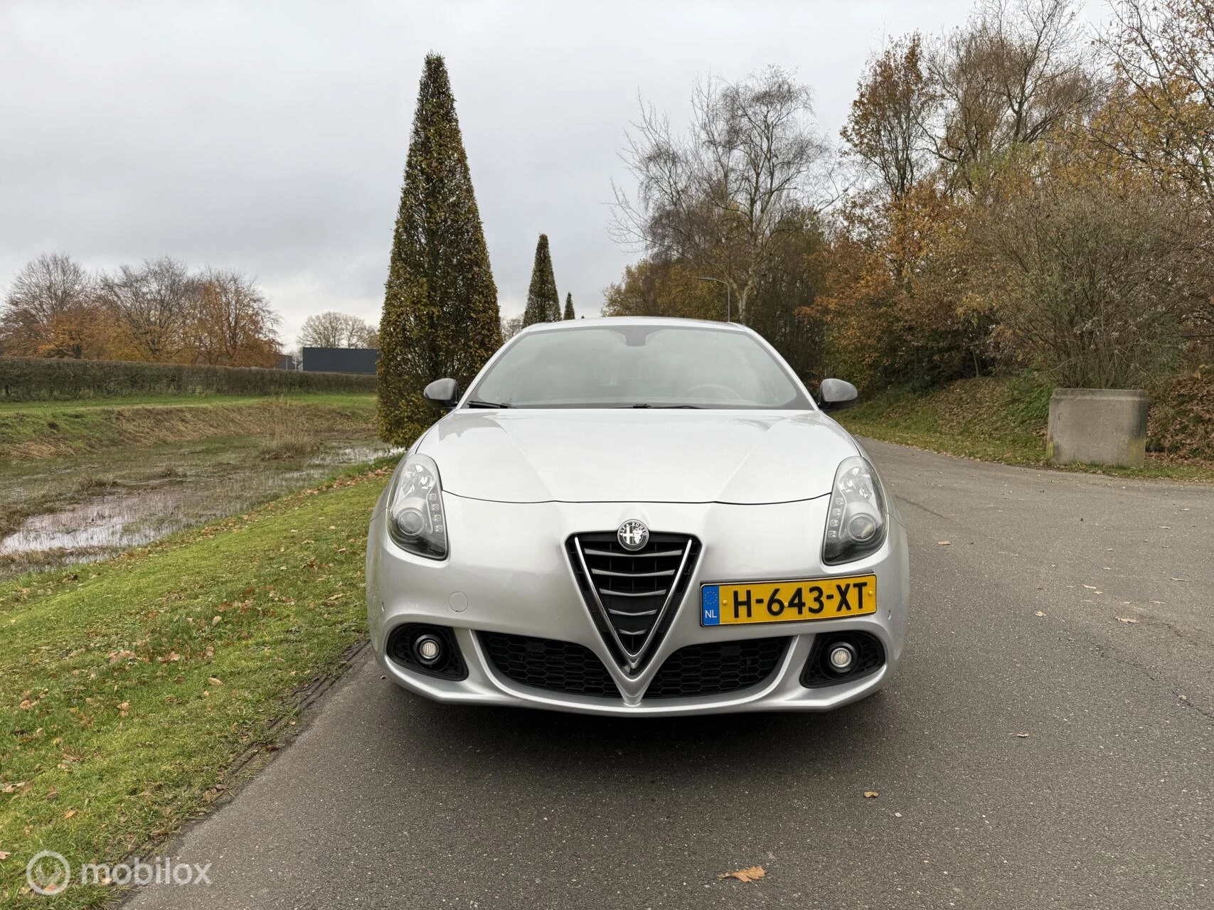 Hoofdafbeelding Alfa Romeo Giulietta