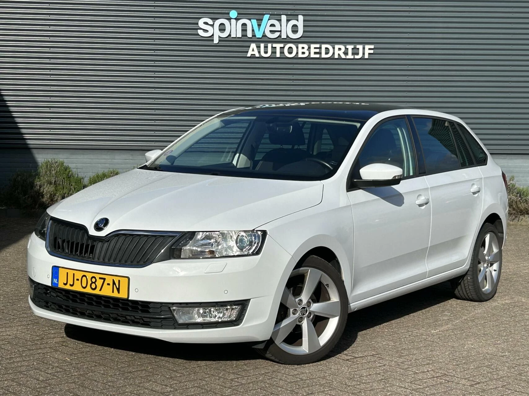 Hoofdafbeelding Škoda Rapid