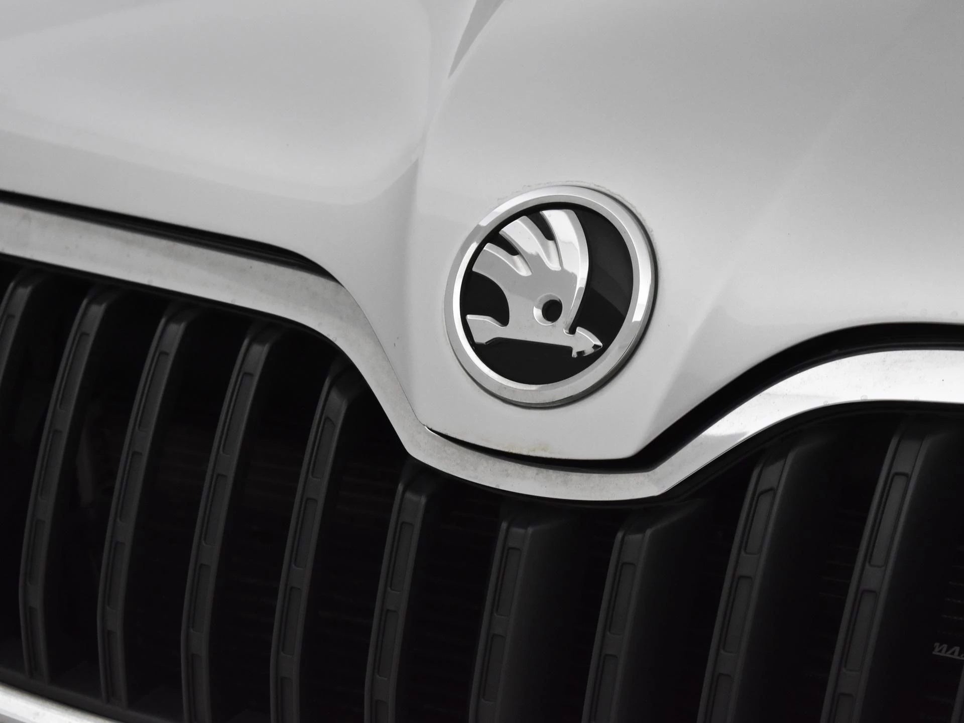 Hoofdafbeelding Škoda Yeti