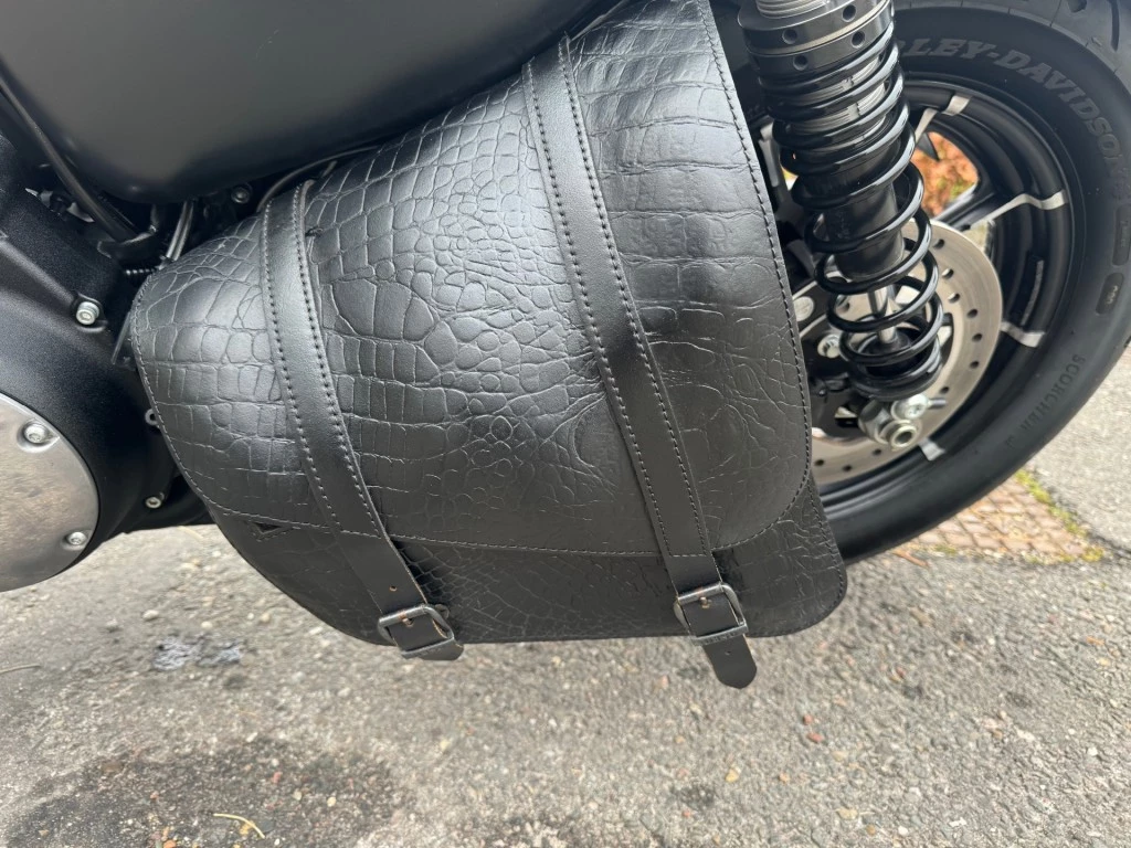 Hoofdafbeelding Harley-Davidson Sportster