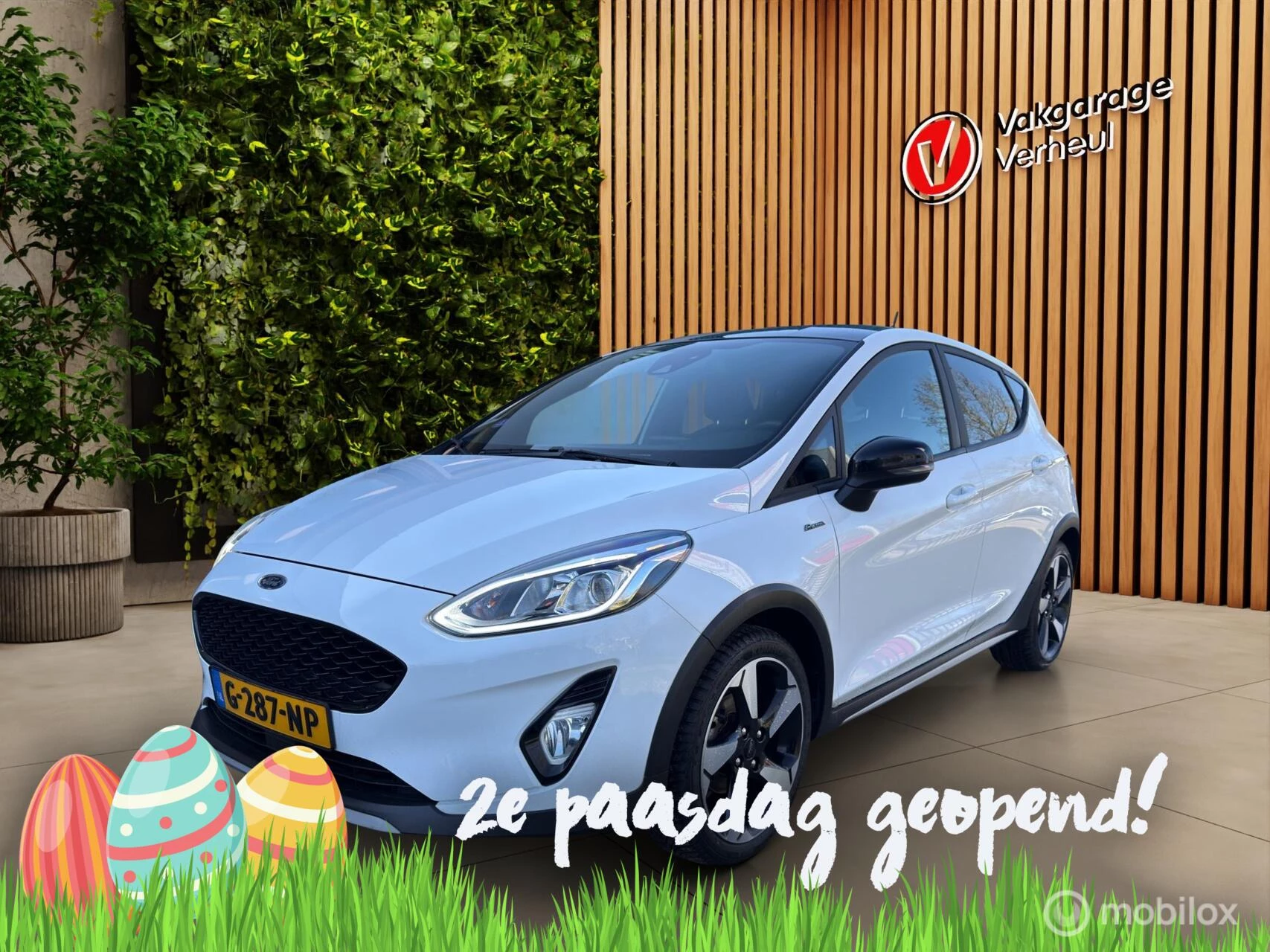Hoofdafbeelding Ford Fiesta