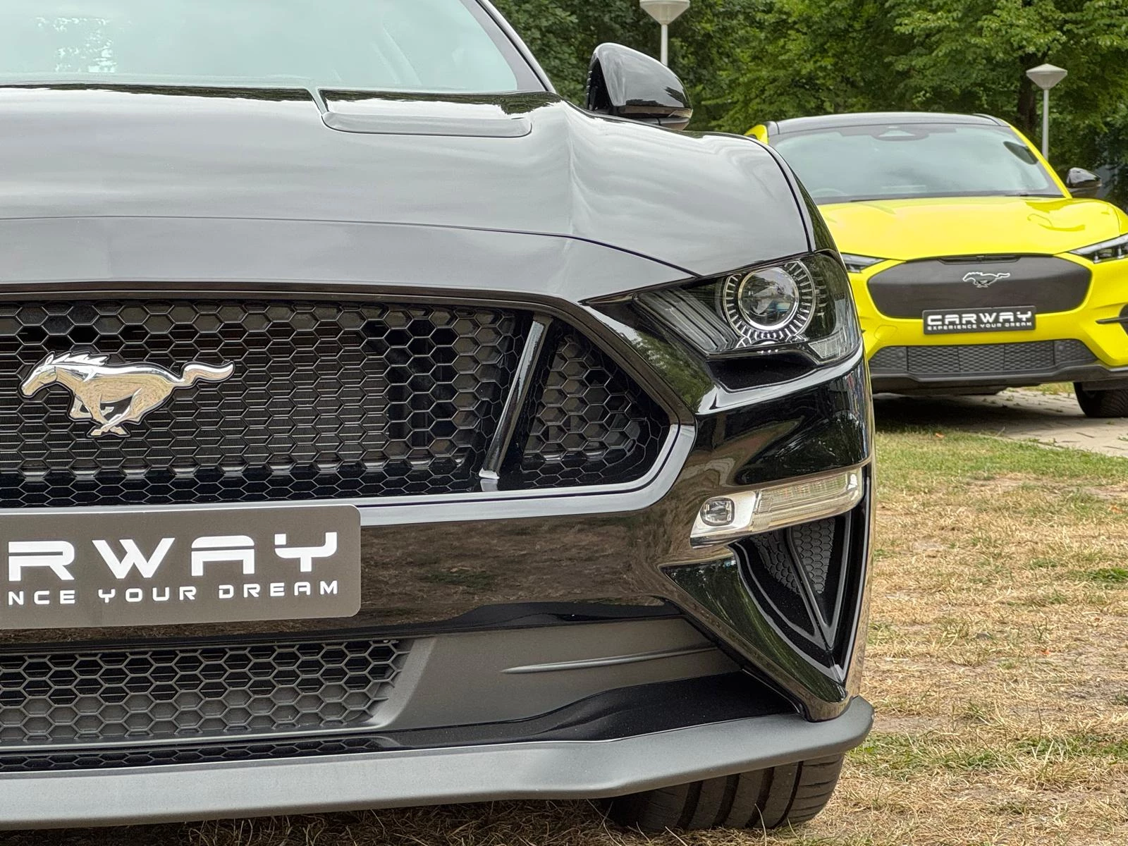 Hoofdafbeelding Ford Mustang