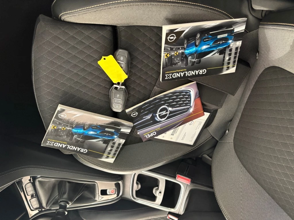 Hoofdafbeelding Opel Grandland X