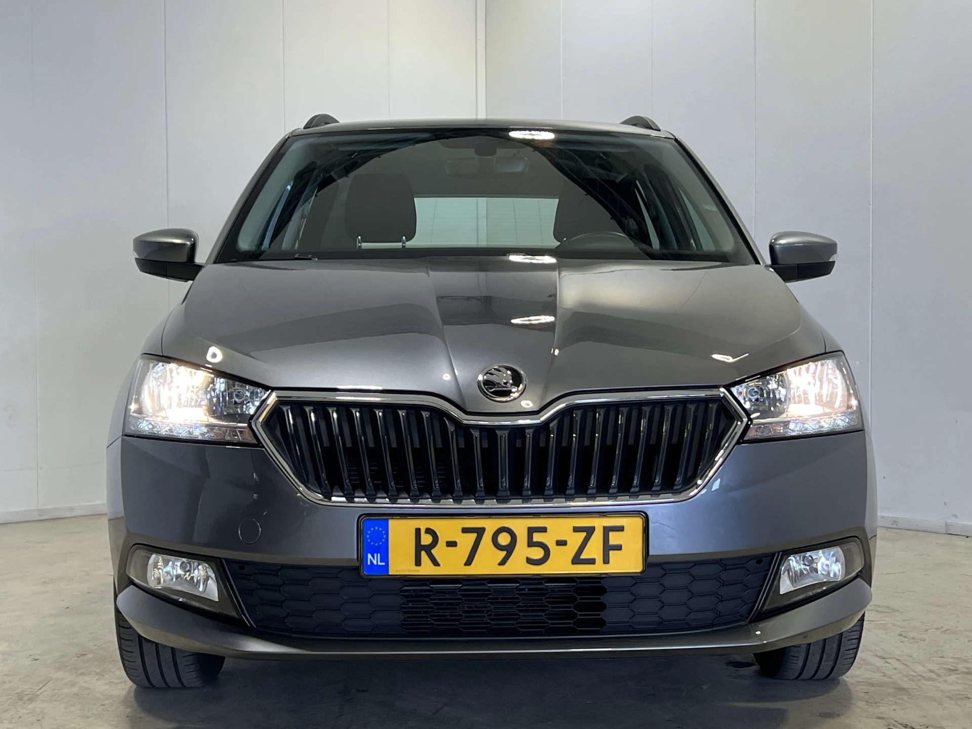 Hoofdafbeelding Škoda Fabia