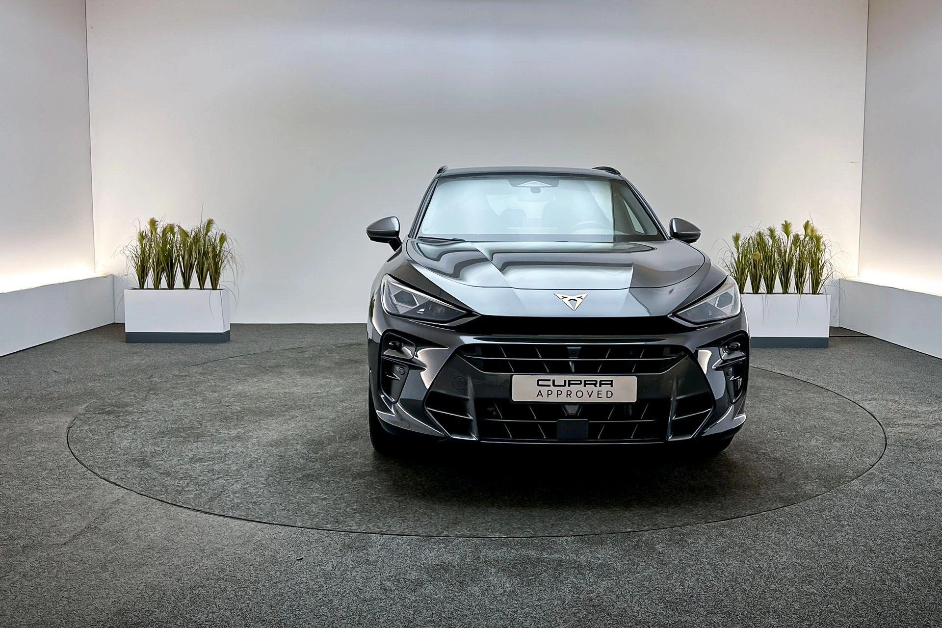 Hoofdafbeelding CUPRA Terramar