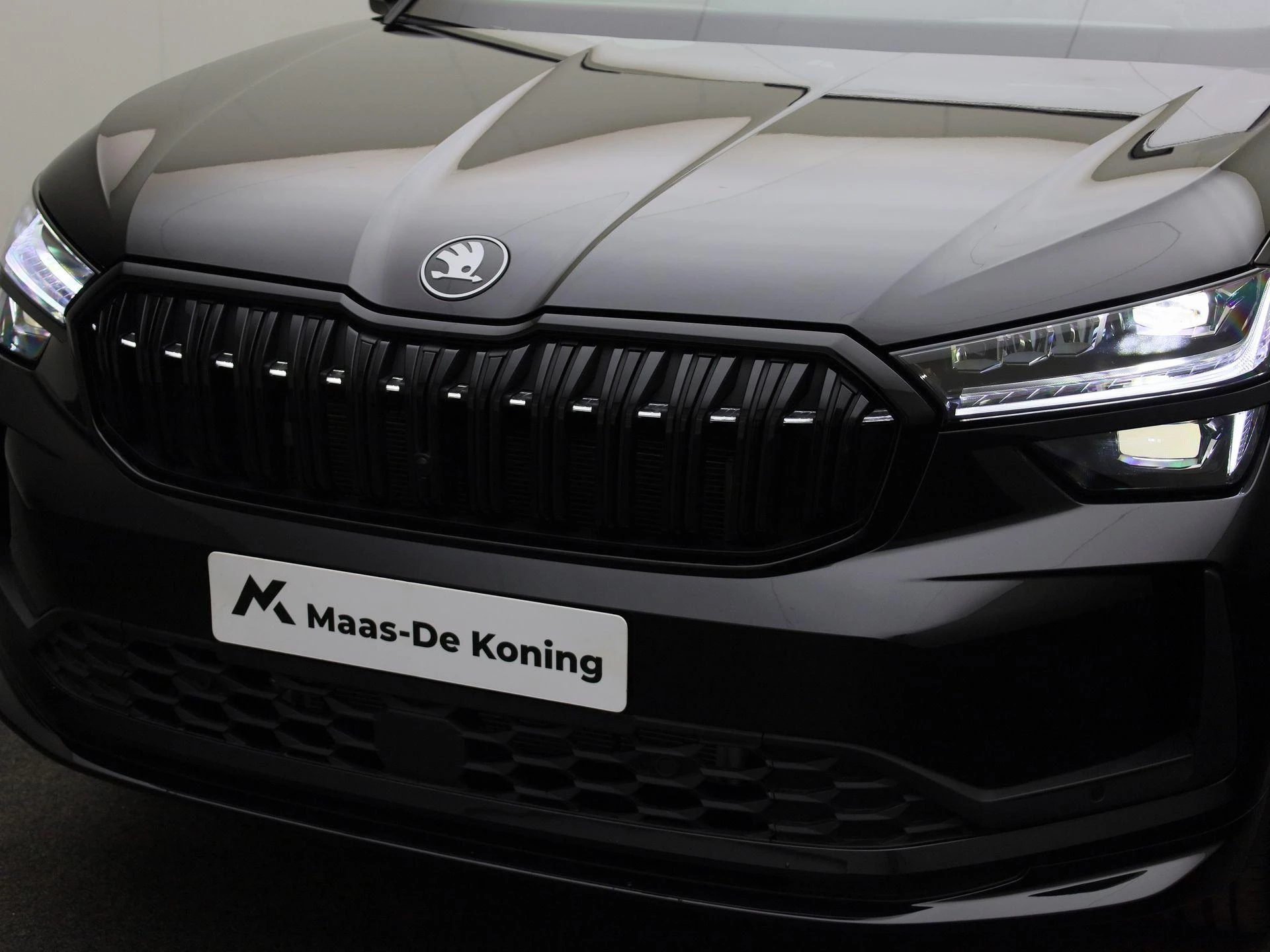 Hoofdafbeelding Škoda Kodiaq