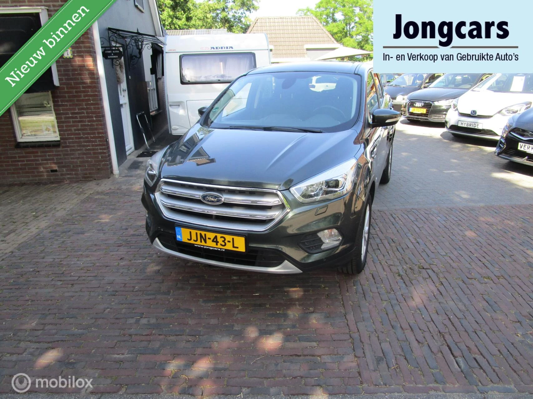 Hoofdafbeelding Ford Kuga