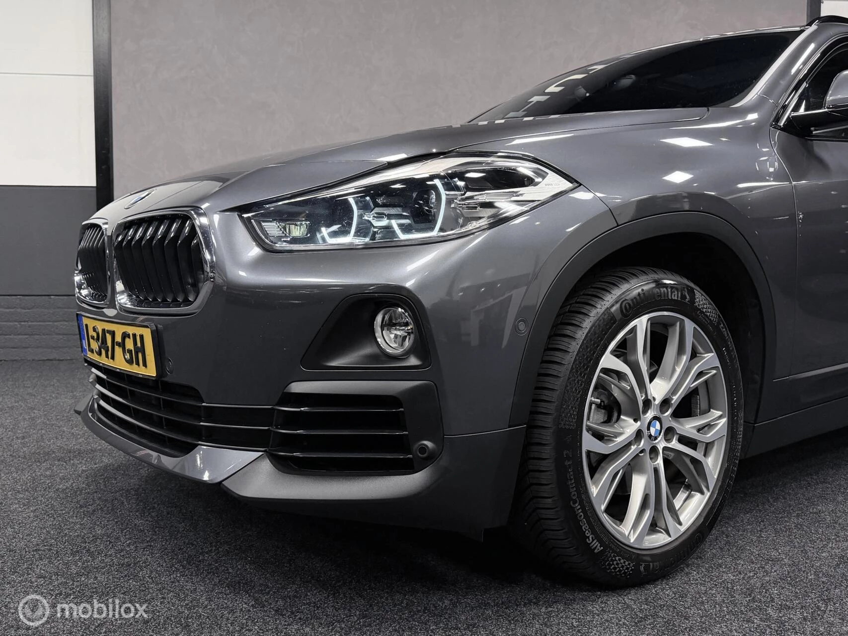 Hoofdafbeelding BMW X2