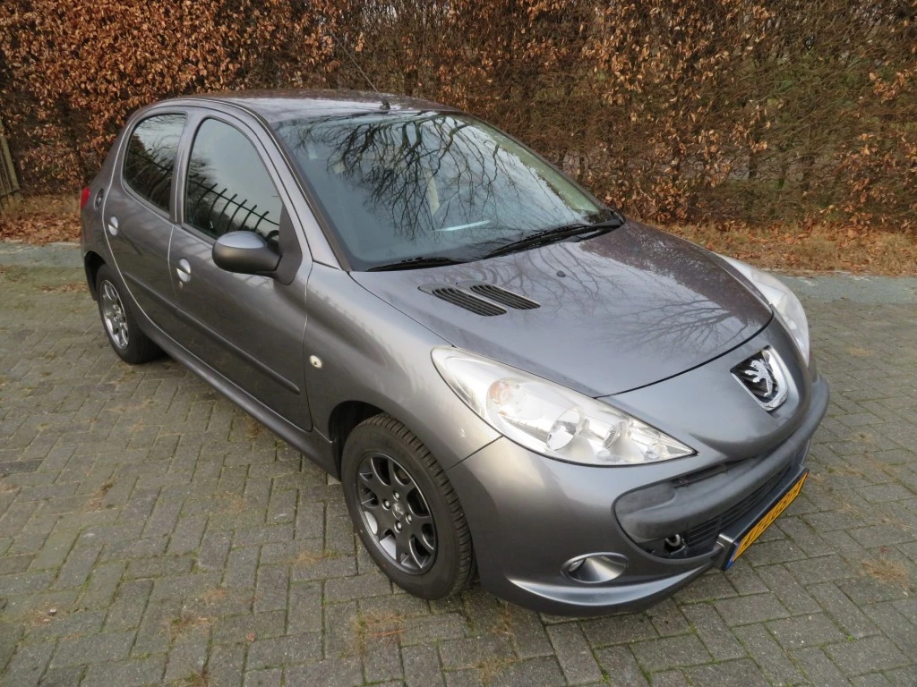 Hoofdafbeelding Peugeot 206