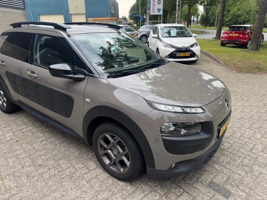 Hoofdafbeelding Citroën C4 Cactus