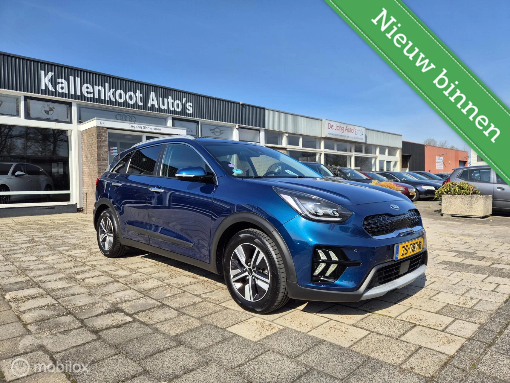 Hoofdafbeelding Kia Niro