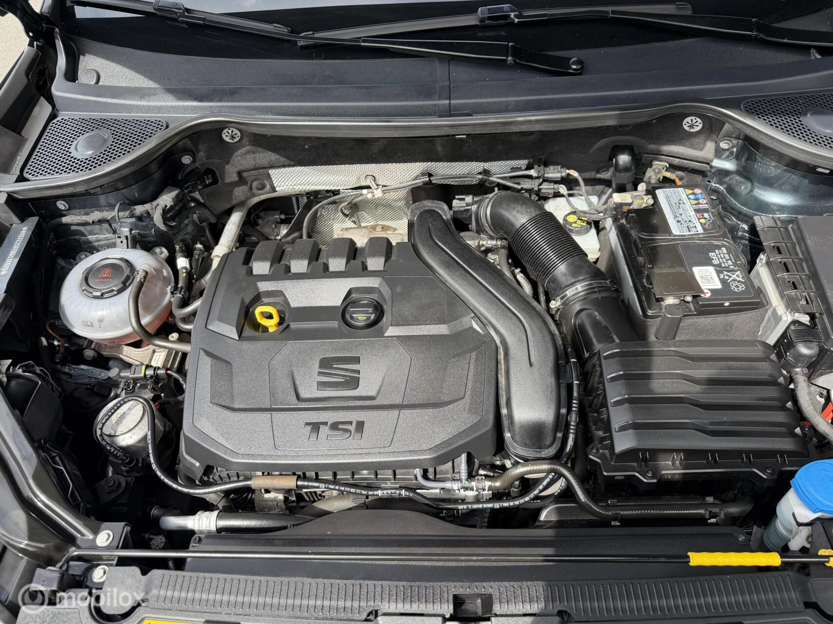Hoofdafbeelding SEAT Ateca