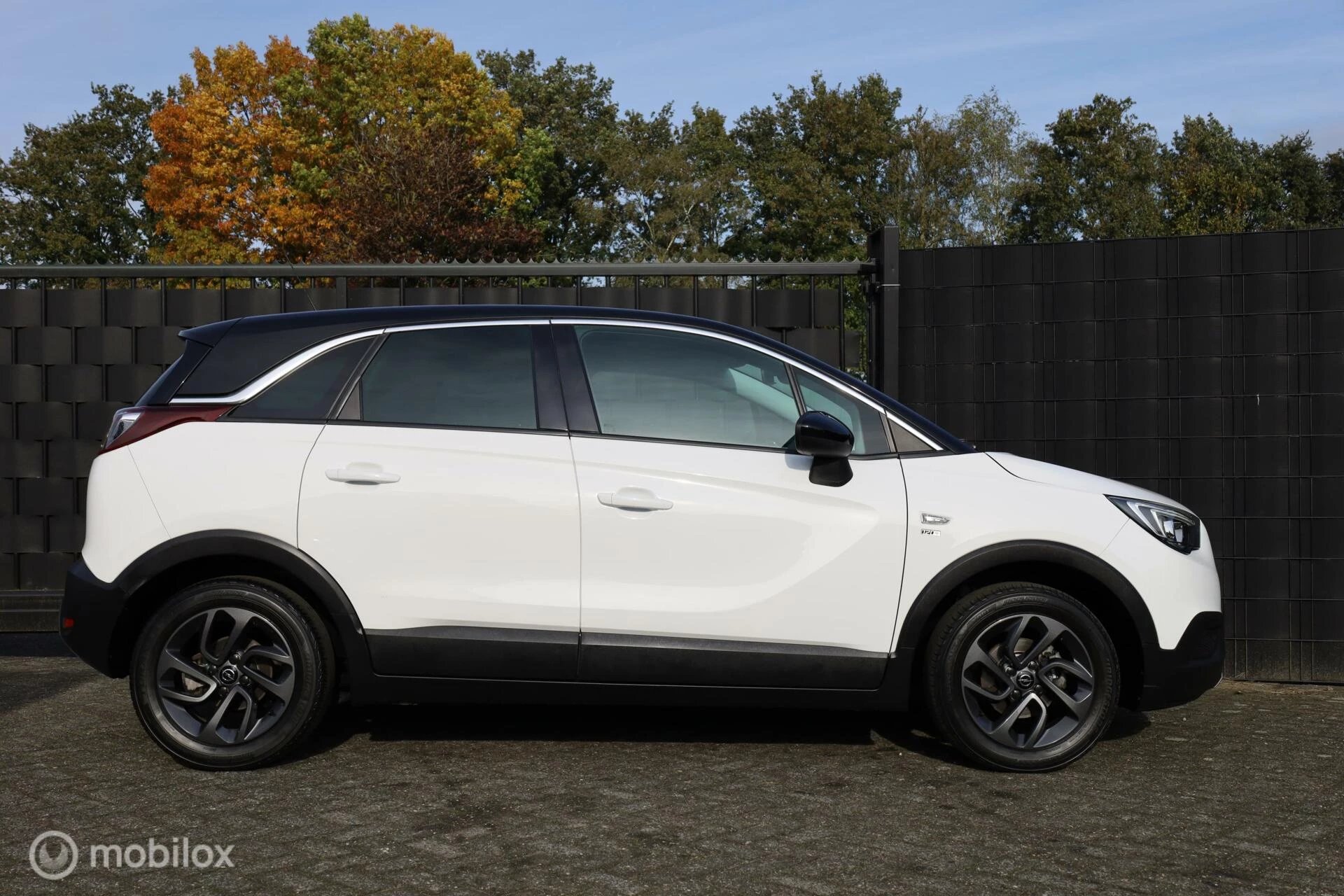 Hoofdafbeelding Opel Crossland X