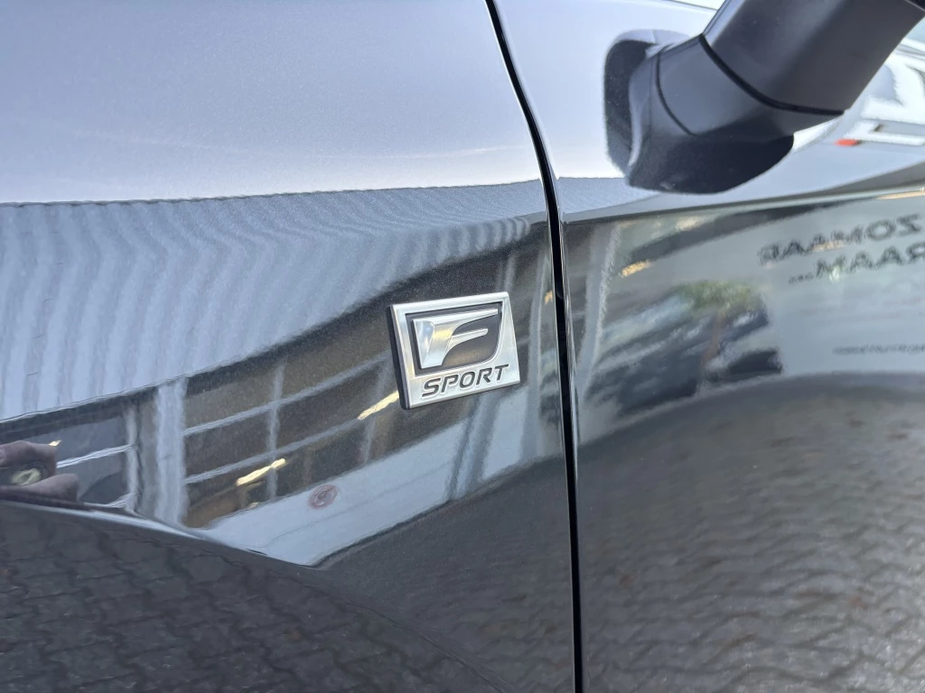 Hoofdafbeelding Lexus RX