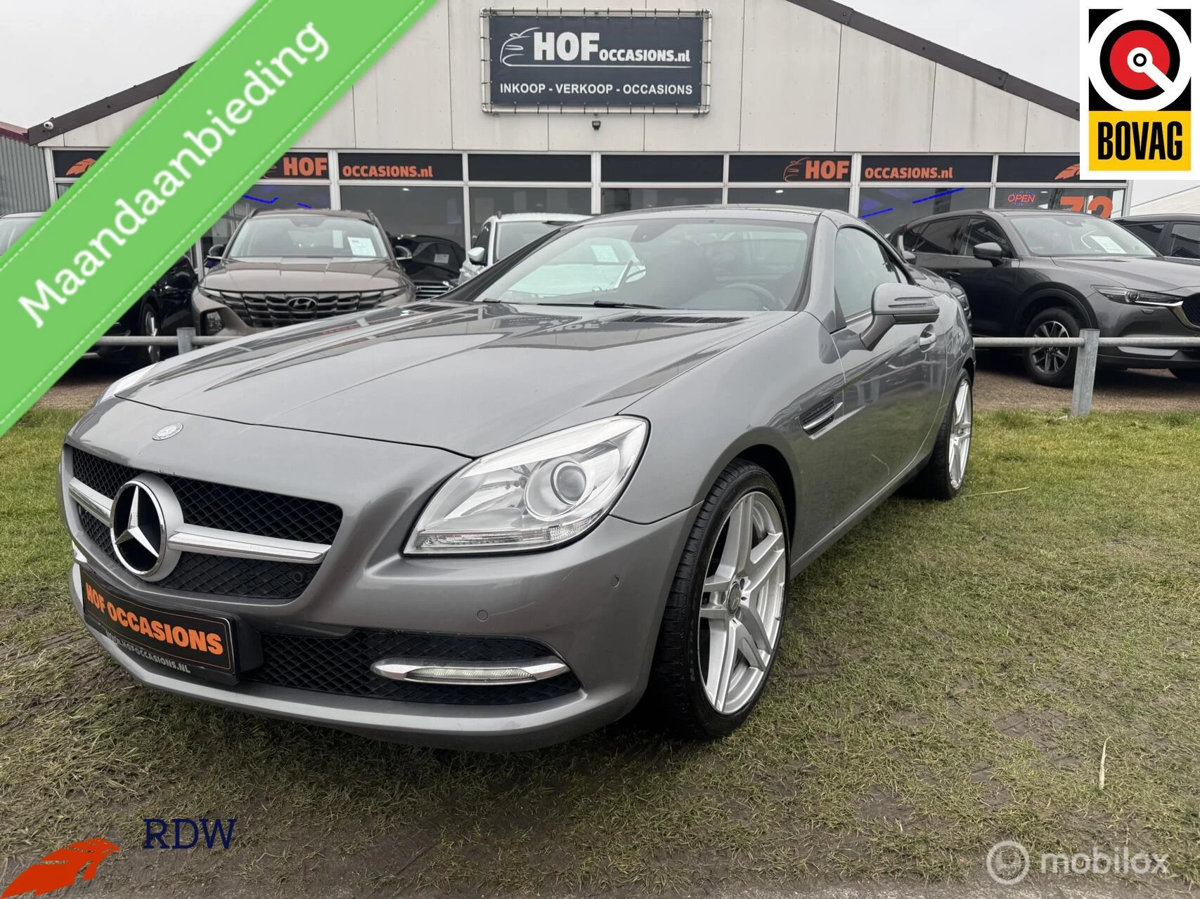 Hoofdafbeelding Mercedes-Benz SLK