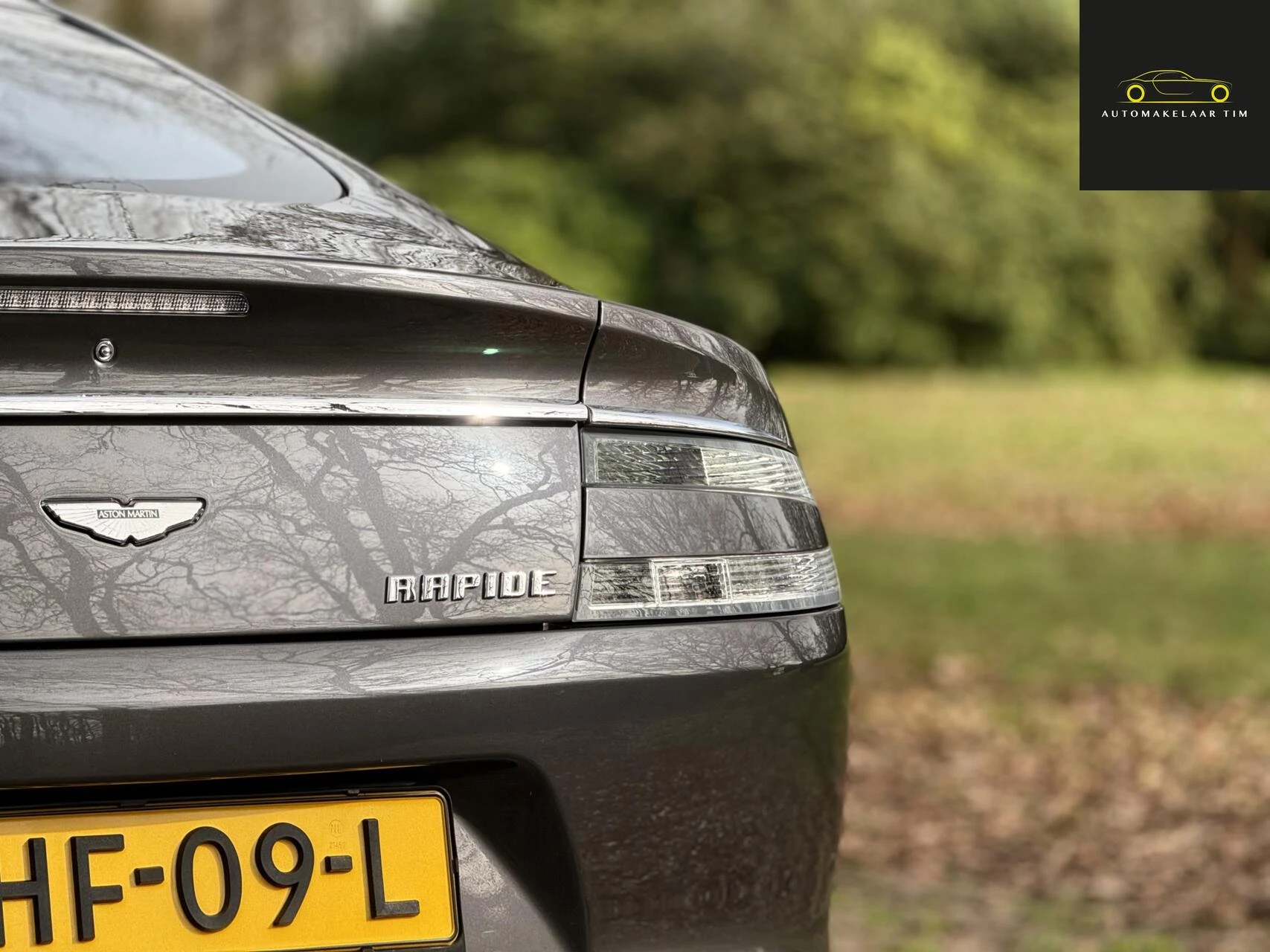 Hoofdafbeelding Aston Martin Rapide