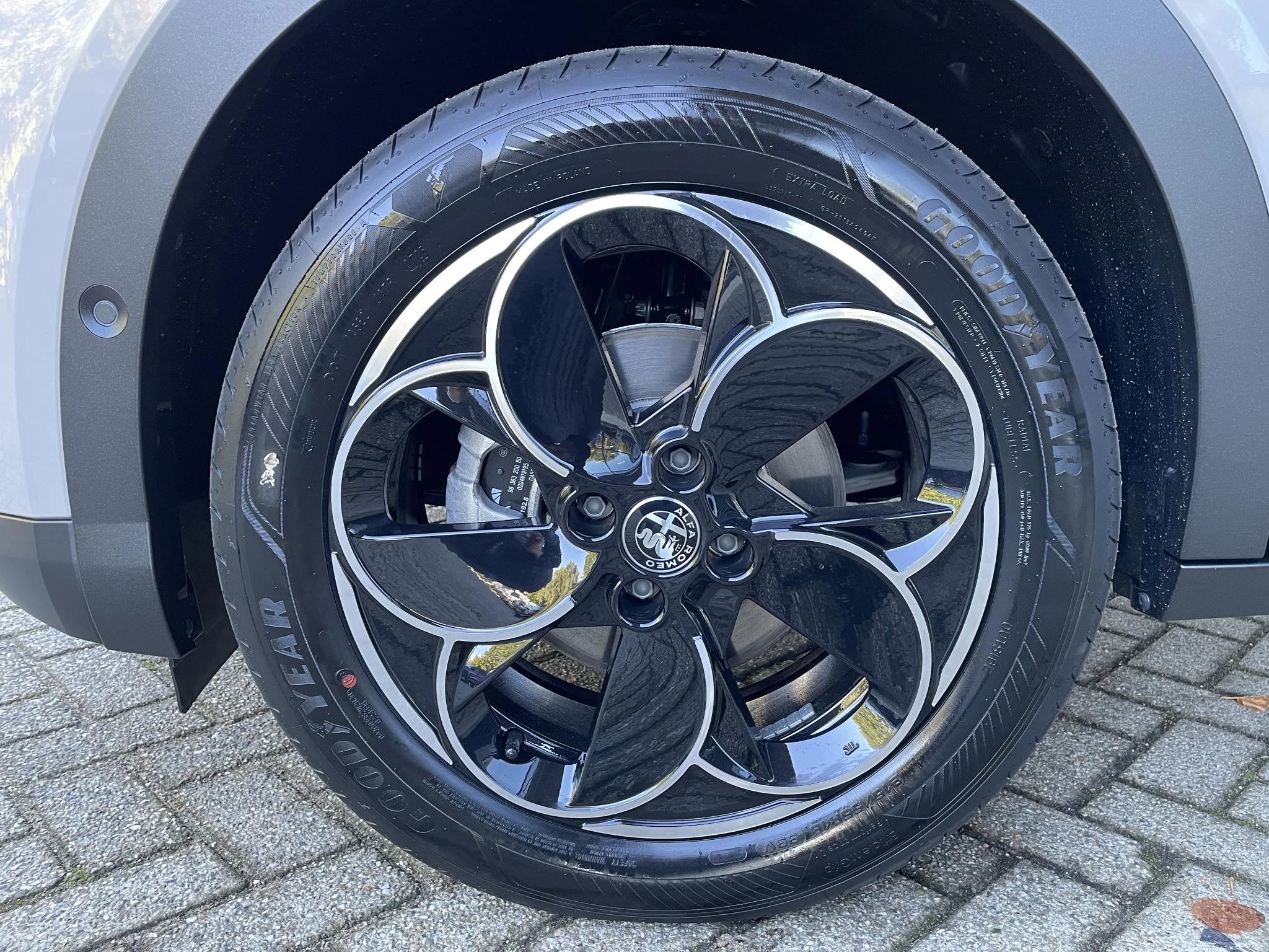 Hoofdafbeelding Alfa Romeo Junior