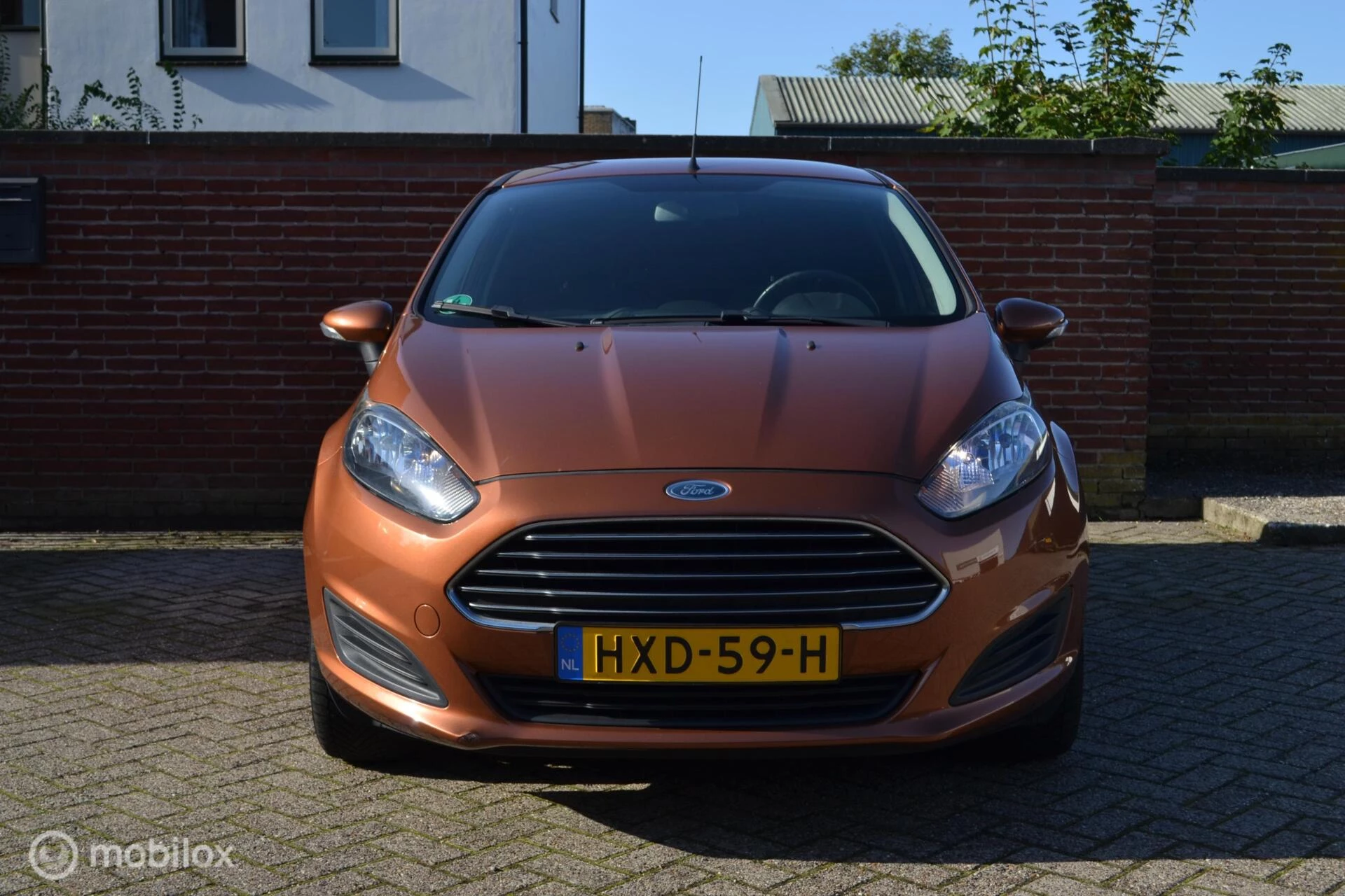 Hoofdafbeelding Ford Fiesta