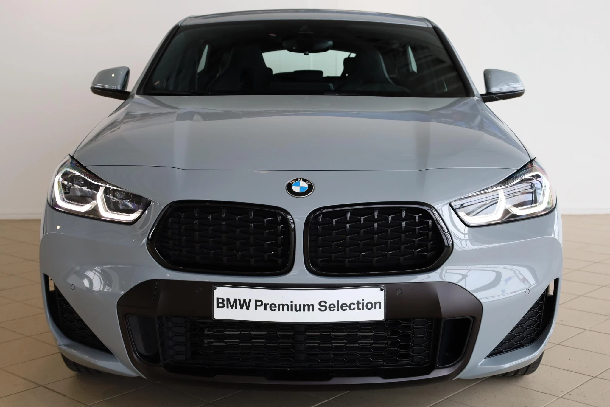 Hoofdafbeelding BMW X2