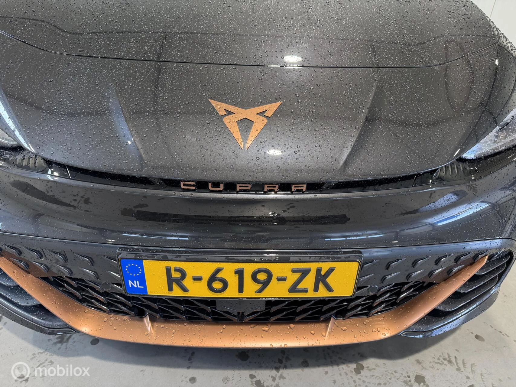 Hoofdafbeelding CUPRA Born