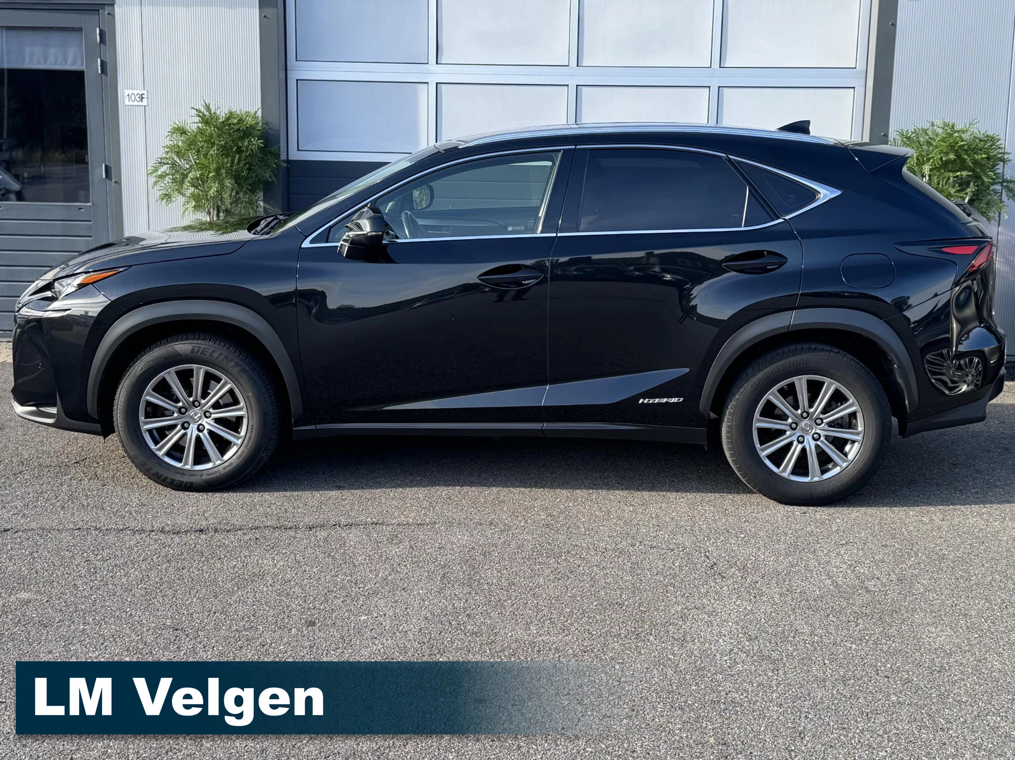 Hoofdafbeelding Lexus NX