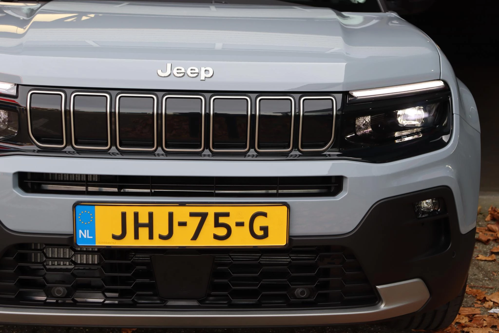 Hoofdafbeelding Jeep Avenger