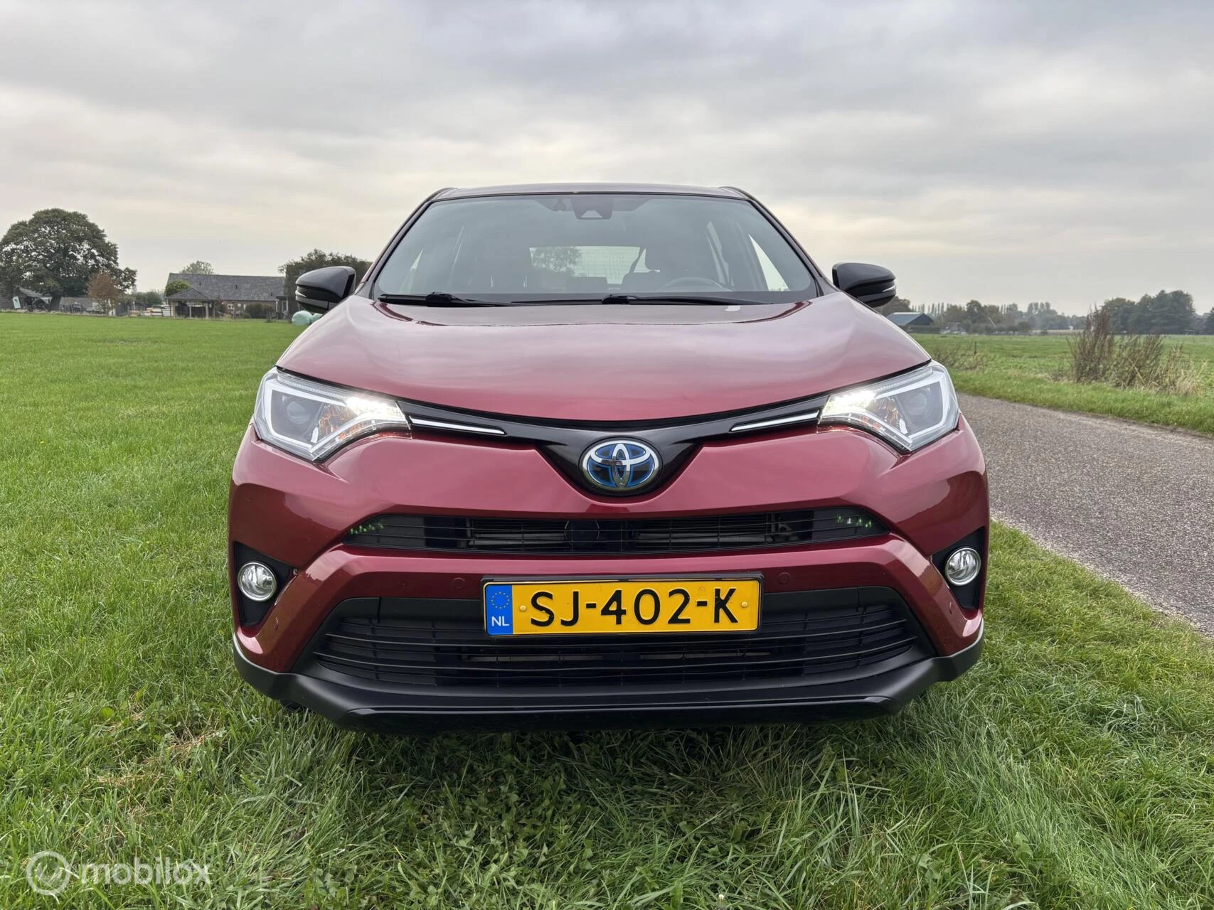 Hoofdafbeelding Toyota RAV4