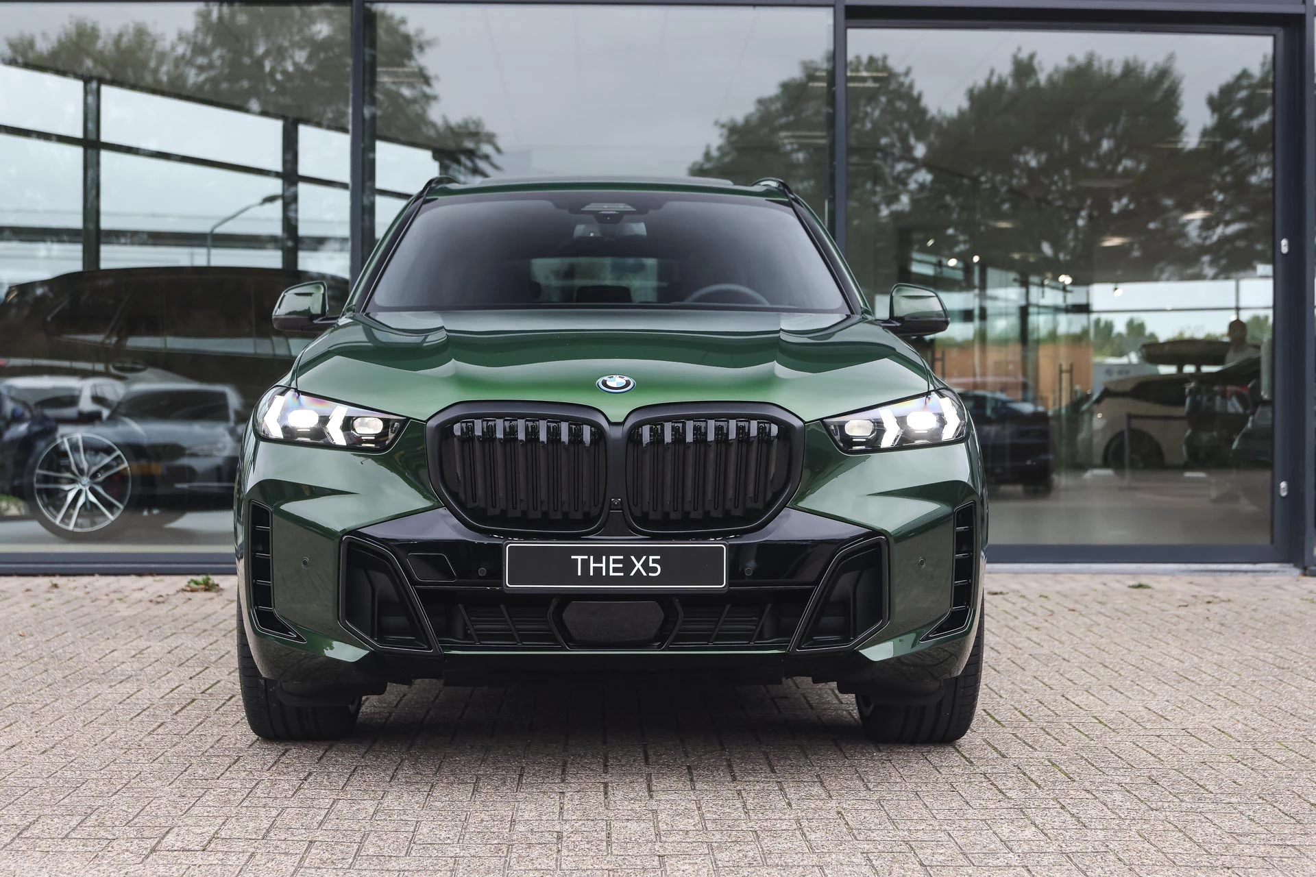 Hoofdafbeelding BMW X5