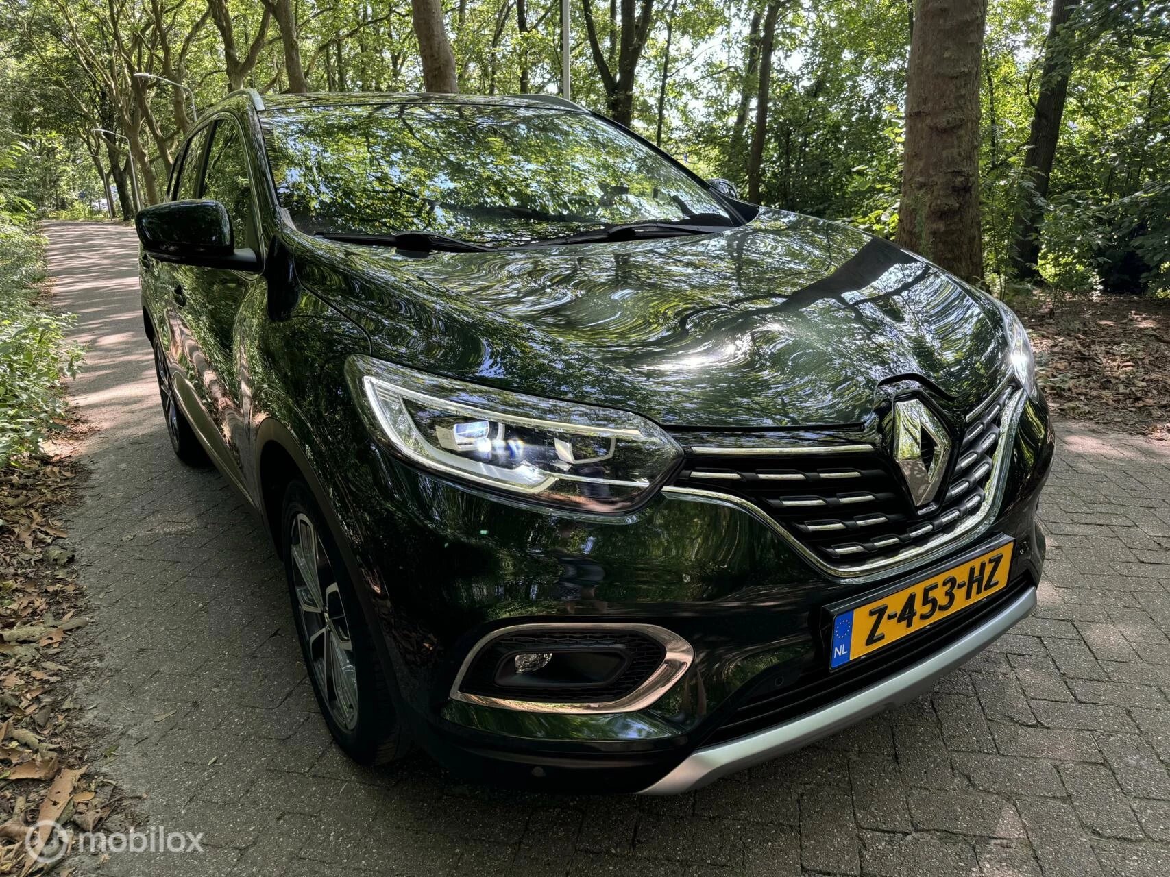 Hoofdafbeelding Renault Kadjar