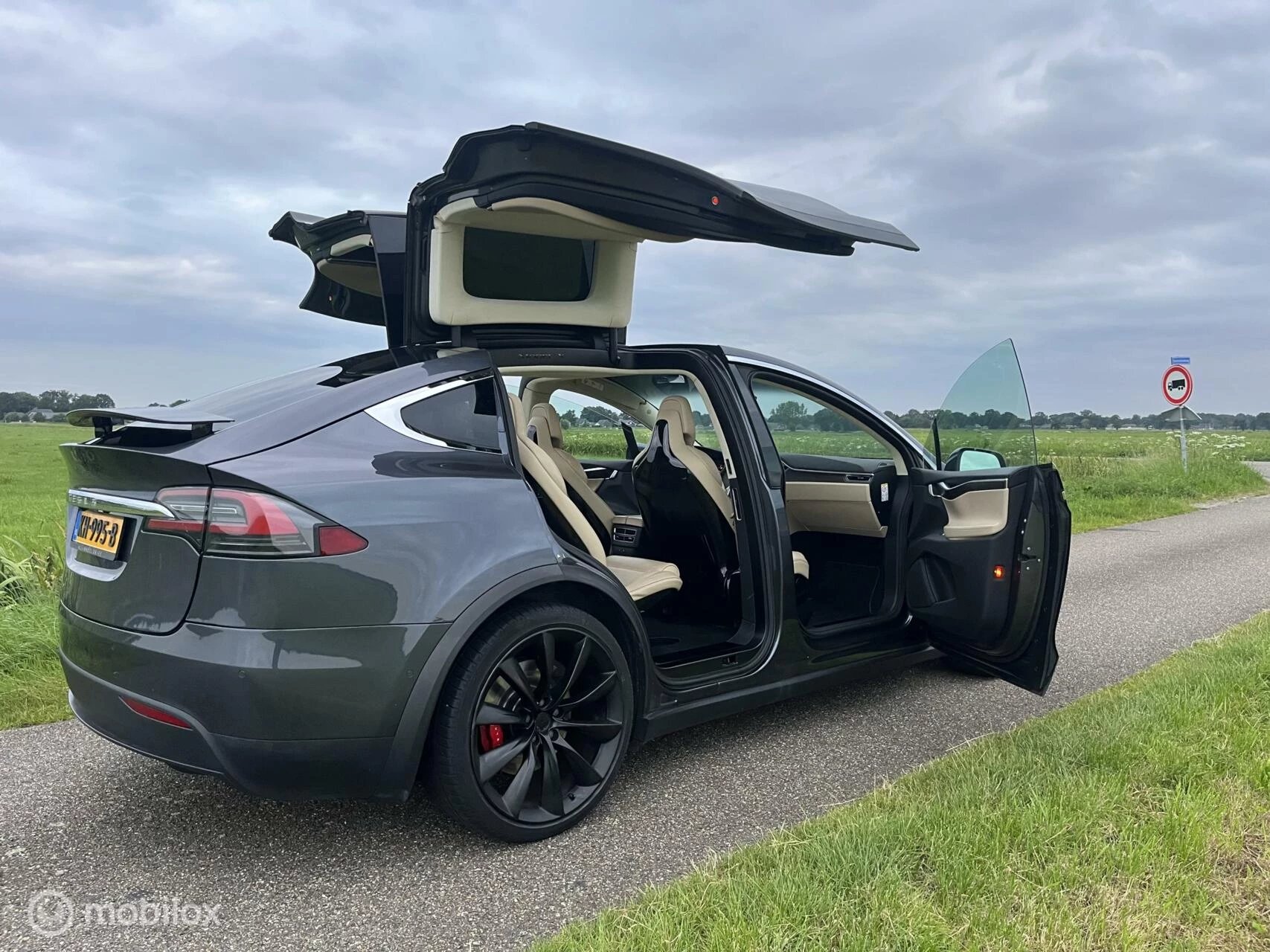 Hoofdafbeelding Tesla Model X