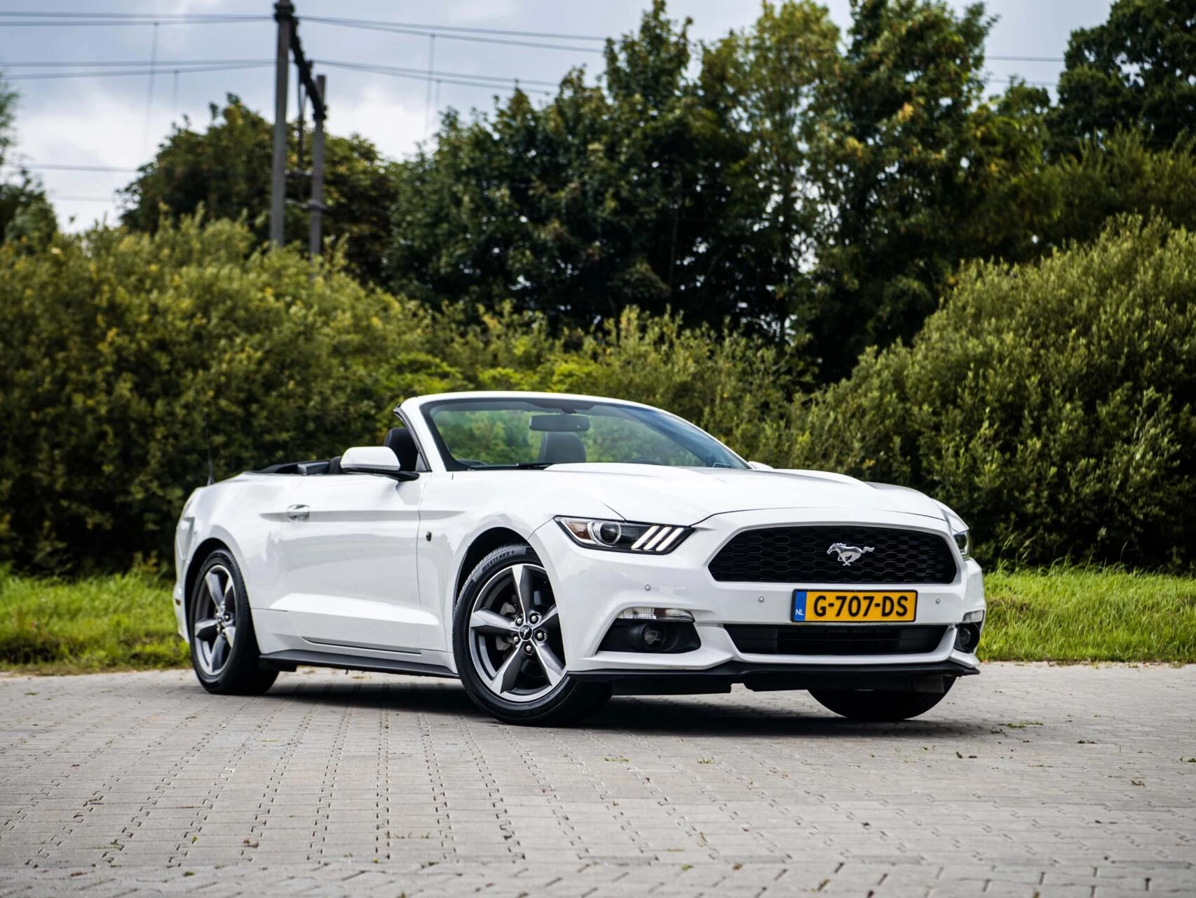 Hoofdafbeelding Ford Mustang