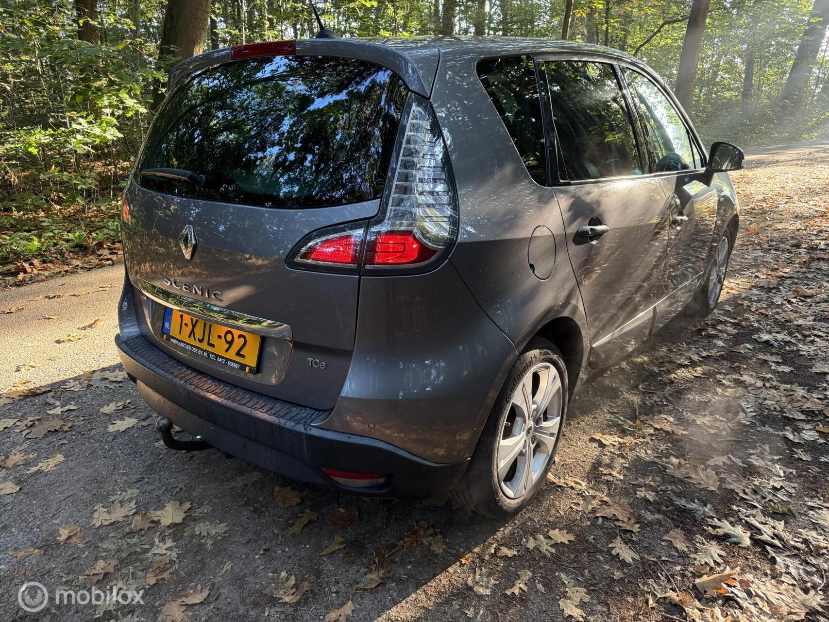 Hoofdafbeelding Renault Scénic