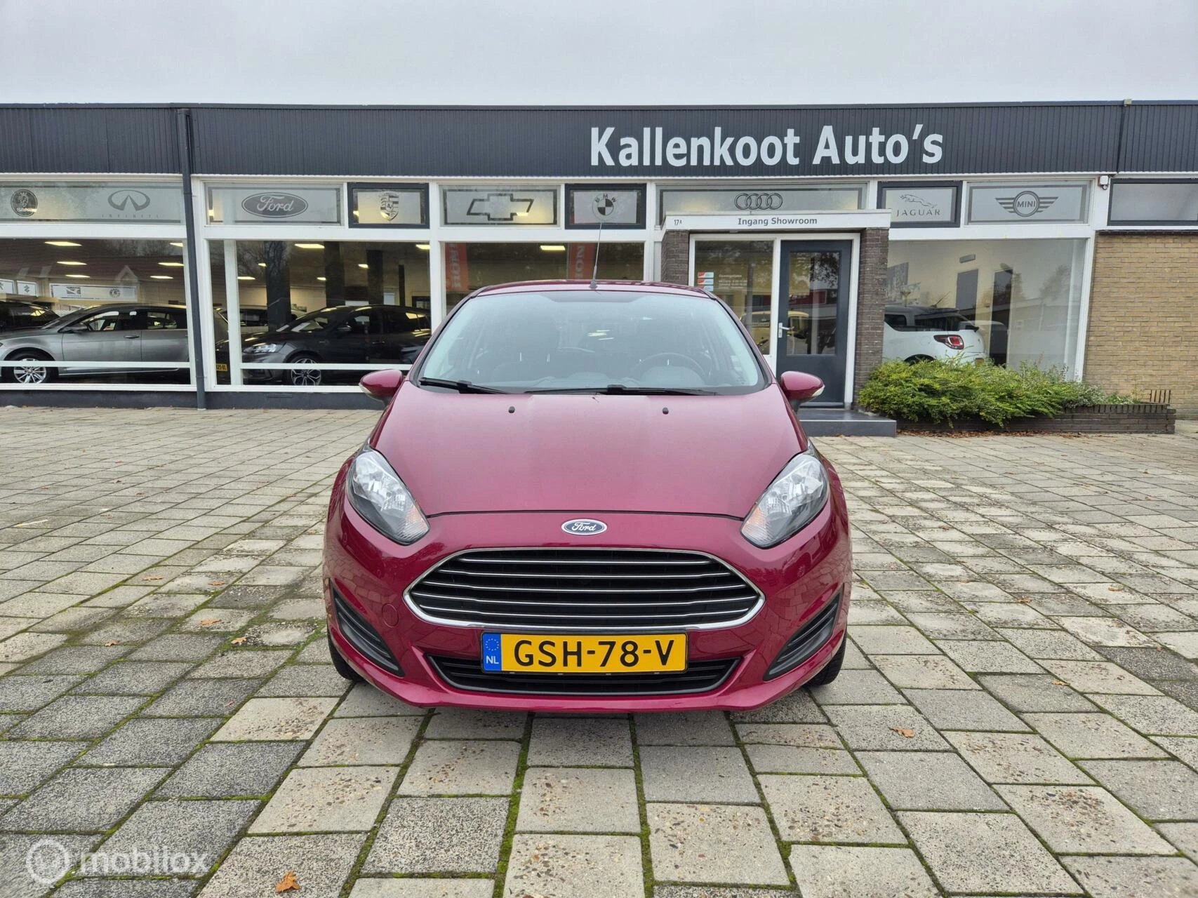 Hoofdafbeelding Ford Fiesta