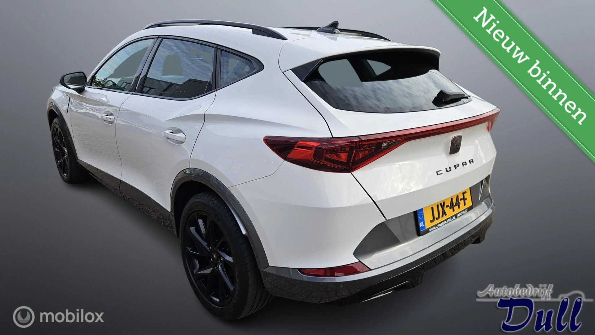 Hoofdafbeelding CUPRA Formentor