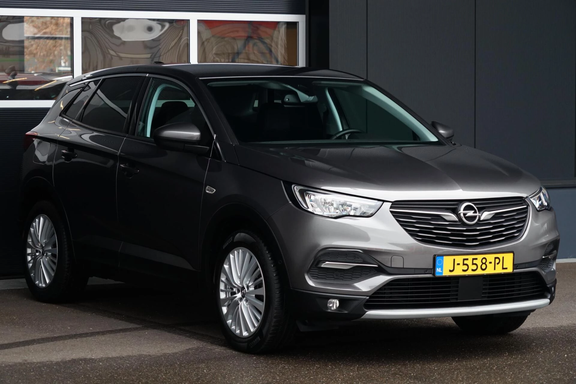 Hoofdafbeelding Opel Grandland X