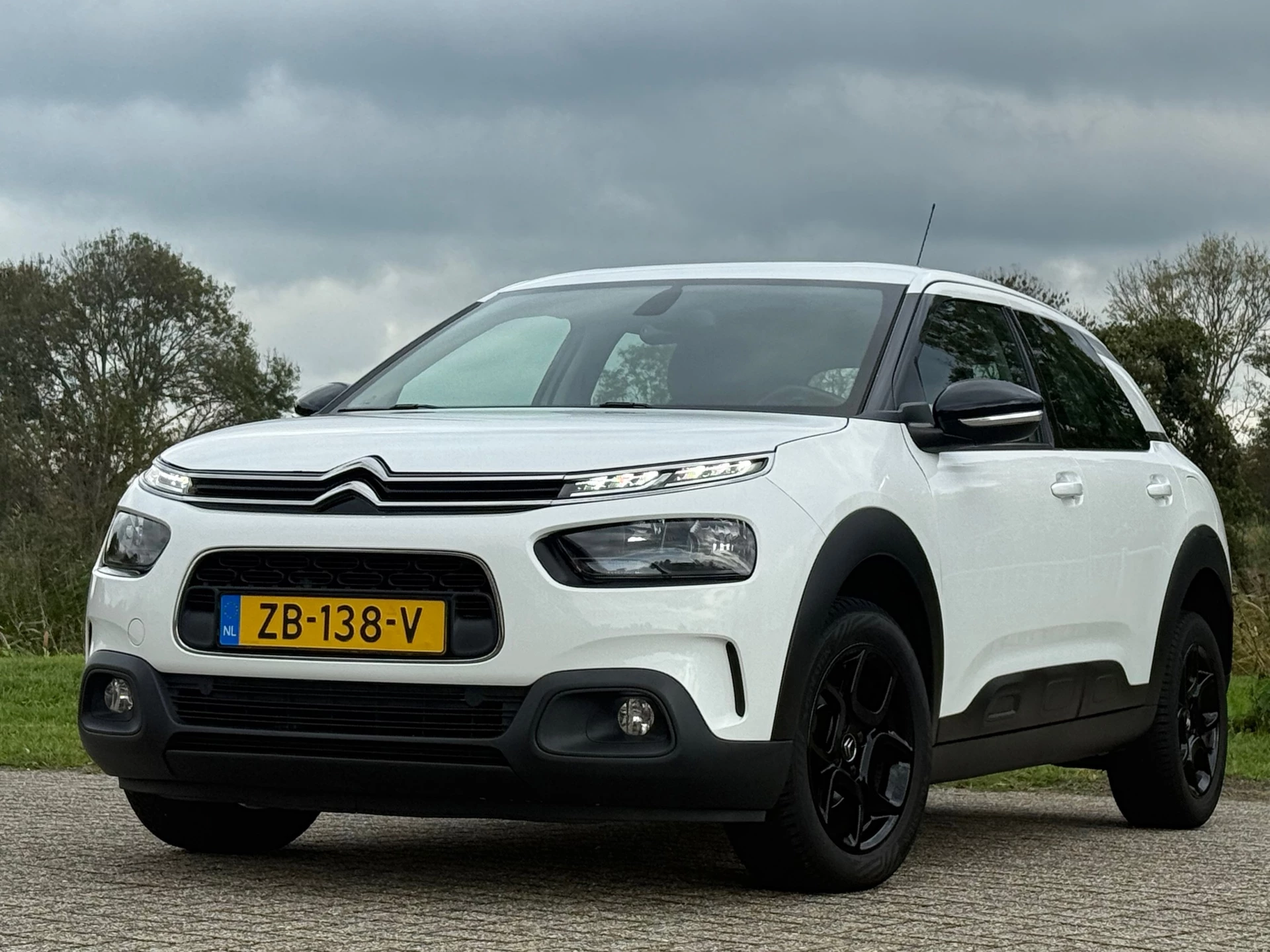 Hoofdafbeelding Citroën C4 Cactus