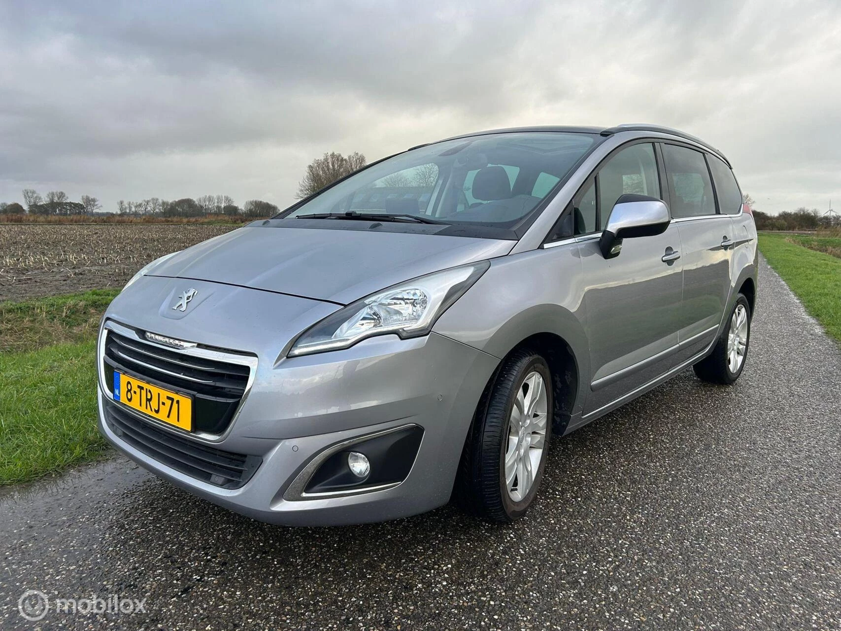 Hoofdafbeelding Peugeot 5008