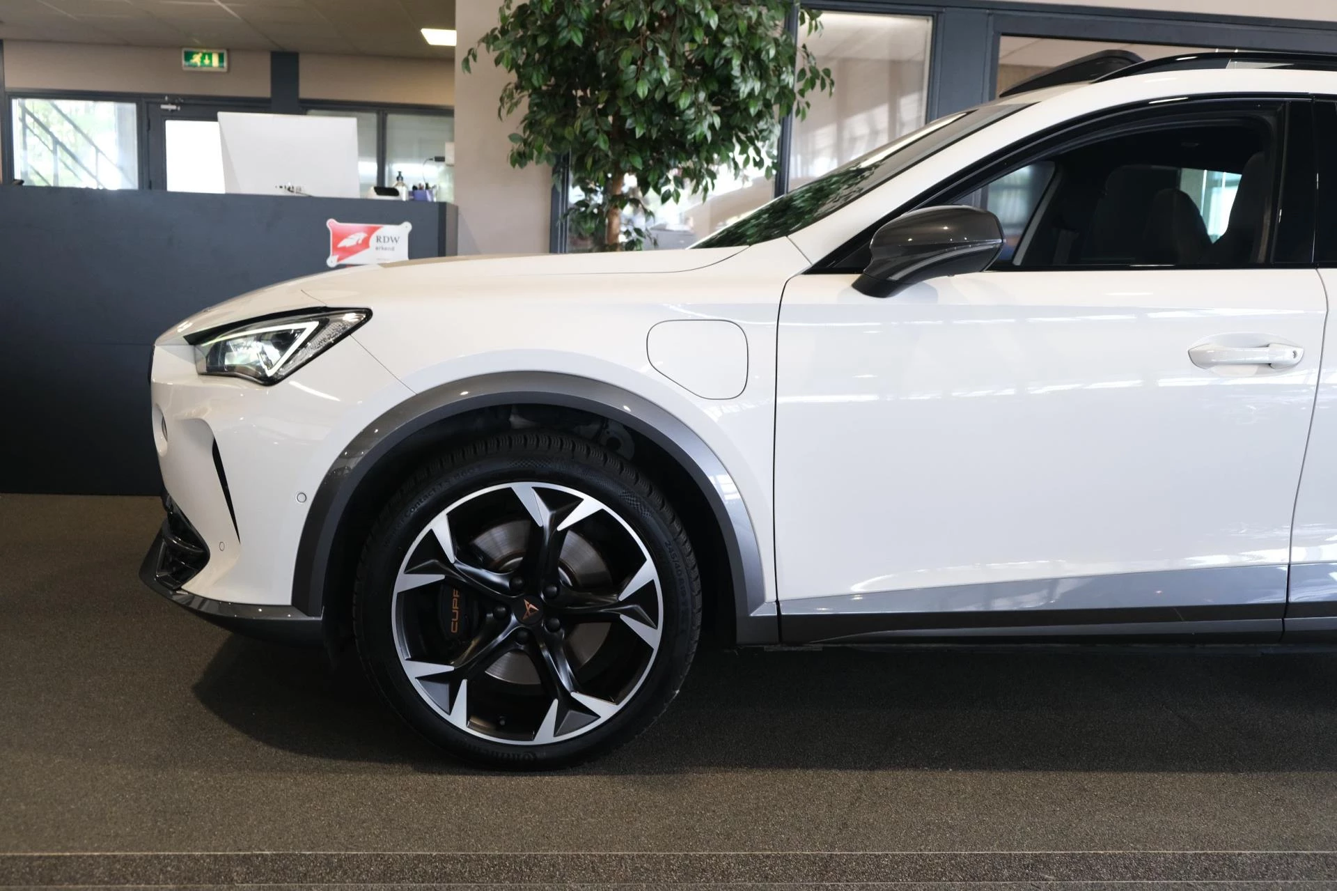 Hoofdafbeelding CUPRA Formentor