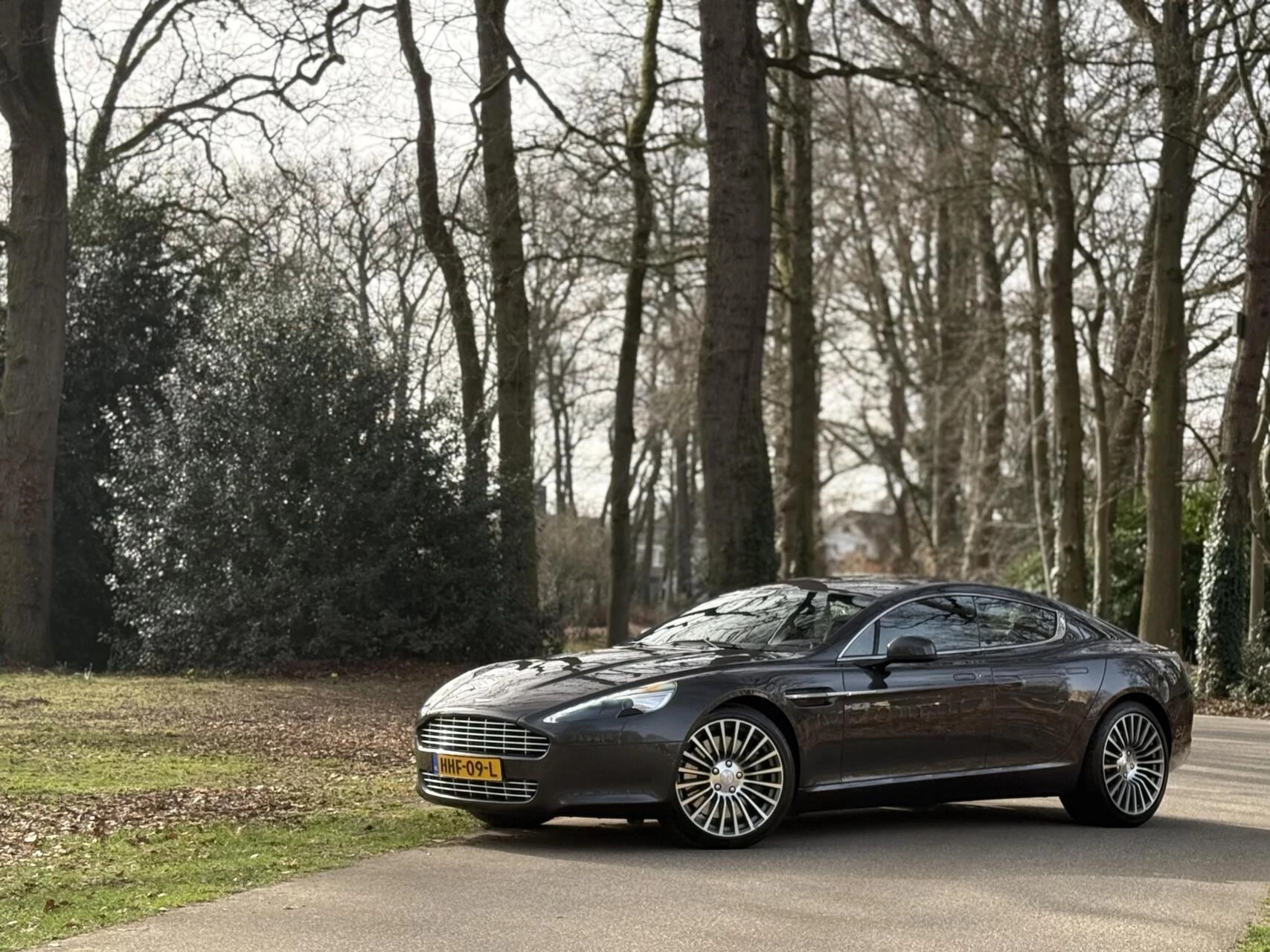 Hoofdafbeelding Aston Martin Rapide