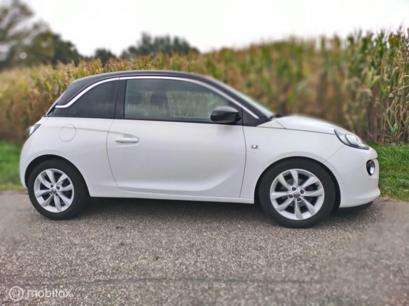 Hoofdafbeelding Opel ADAM